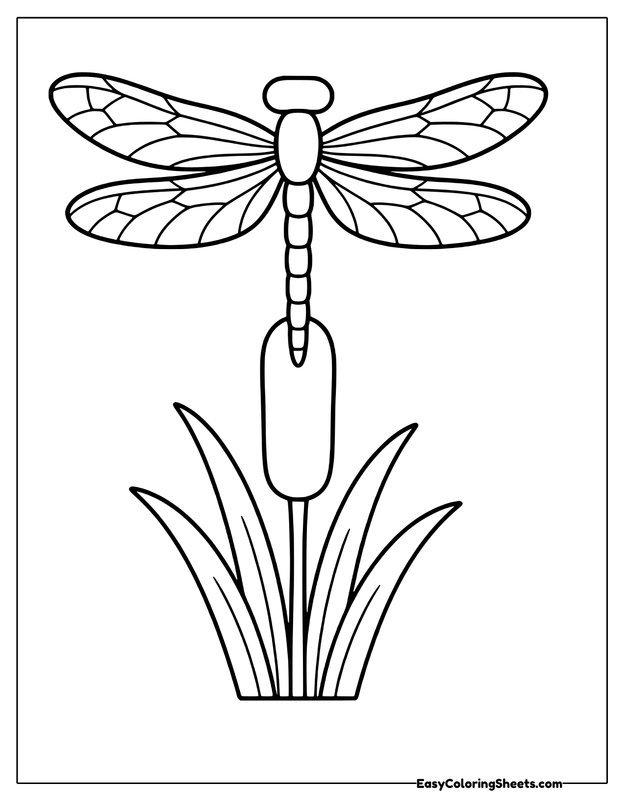 Dragonfly resting on the tip of a cattail