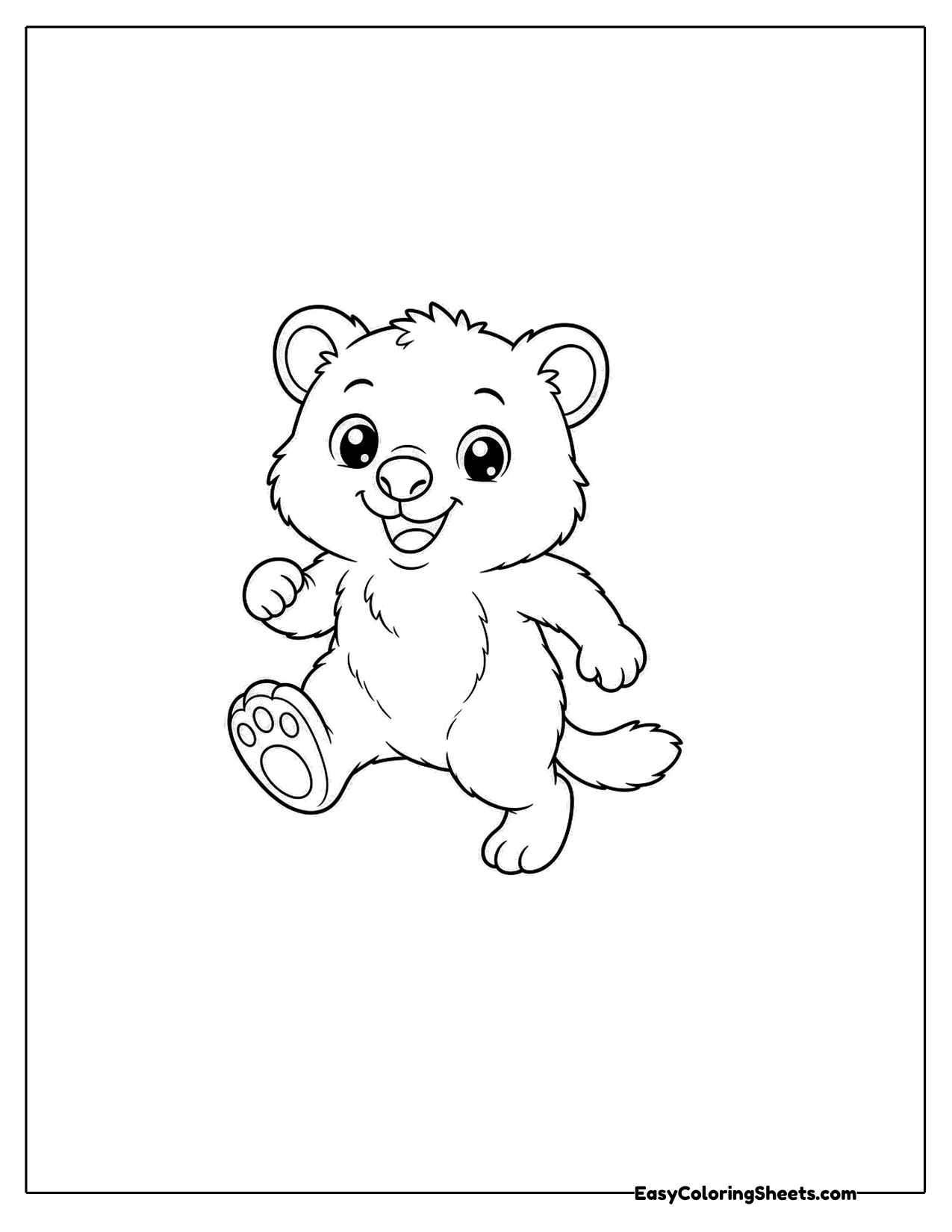 Quokka walking mid step