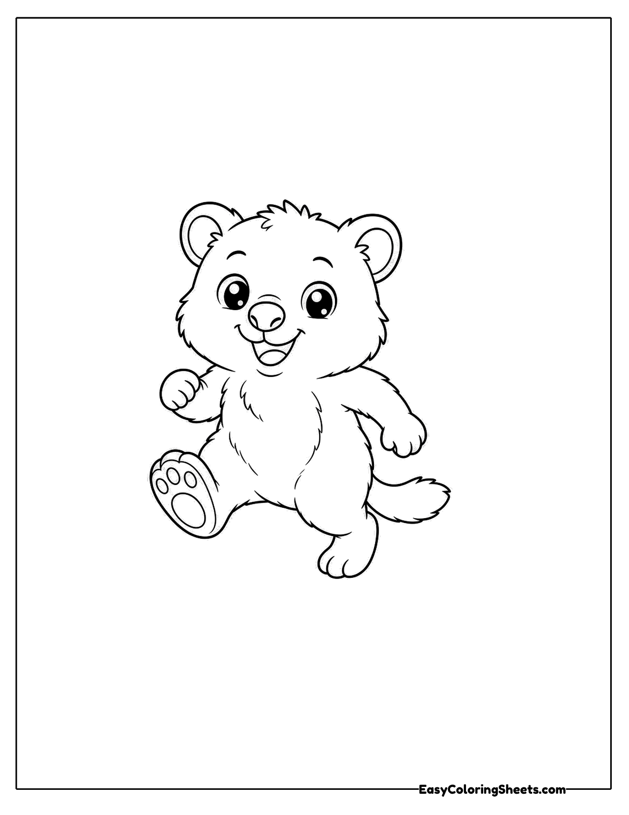 Quokka walking mid step
