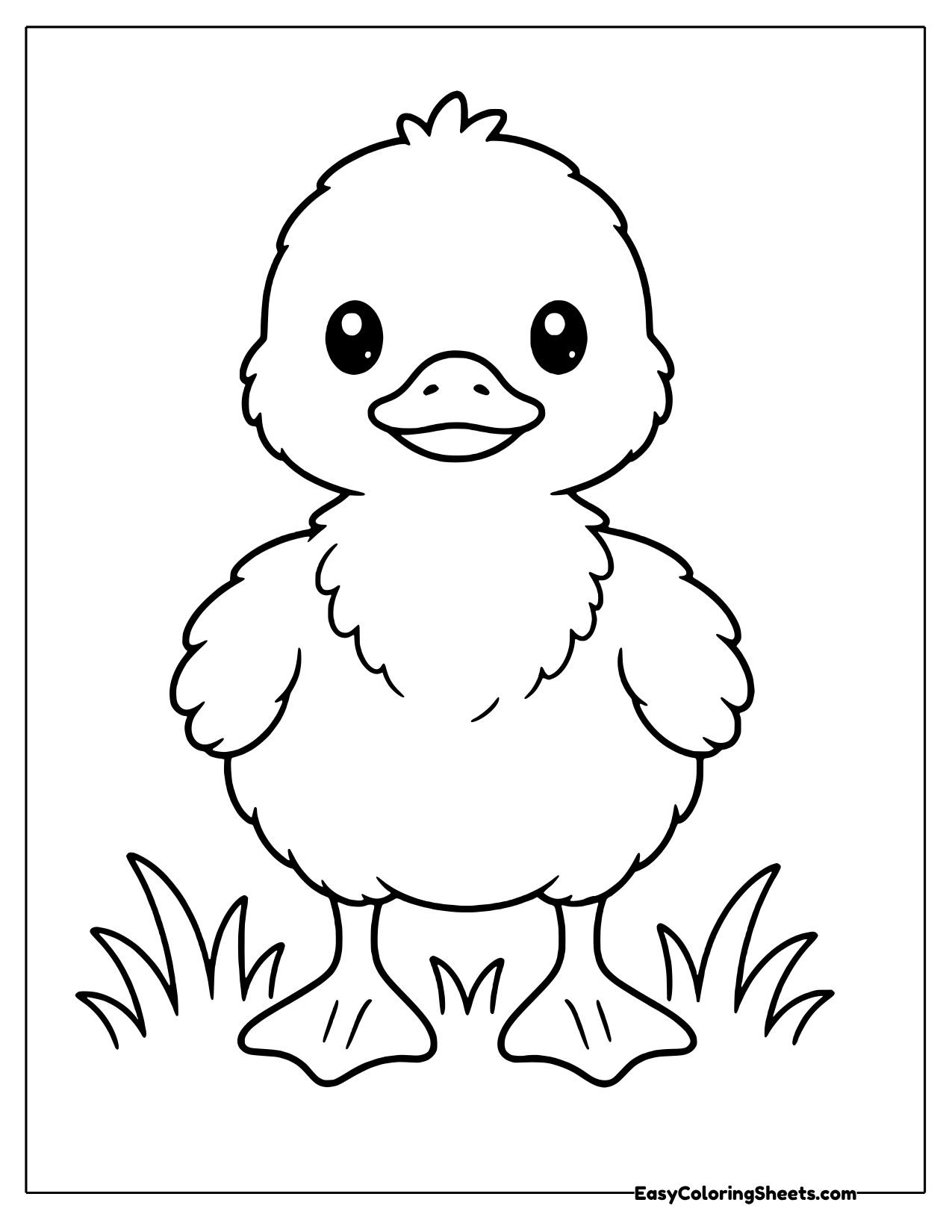 Tall duckling standing in the grass