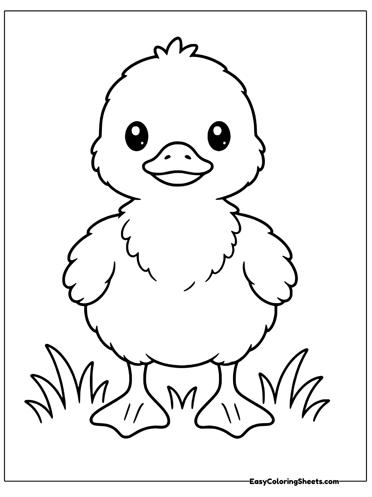 A tall duckling stands upright in a patch of grass with its wings slightly out.