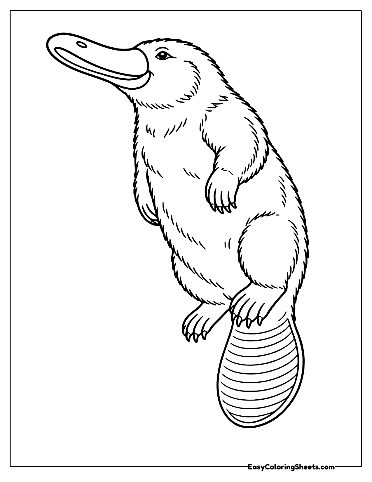 14 Platypus Coloring Pages (Free PDF Printables) | Easy Coloring Sheets