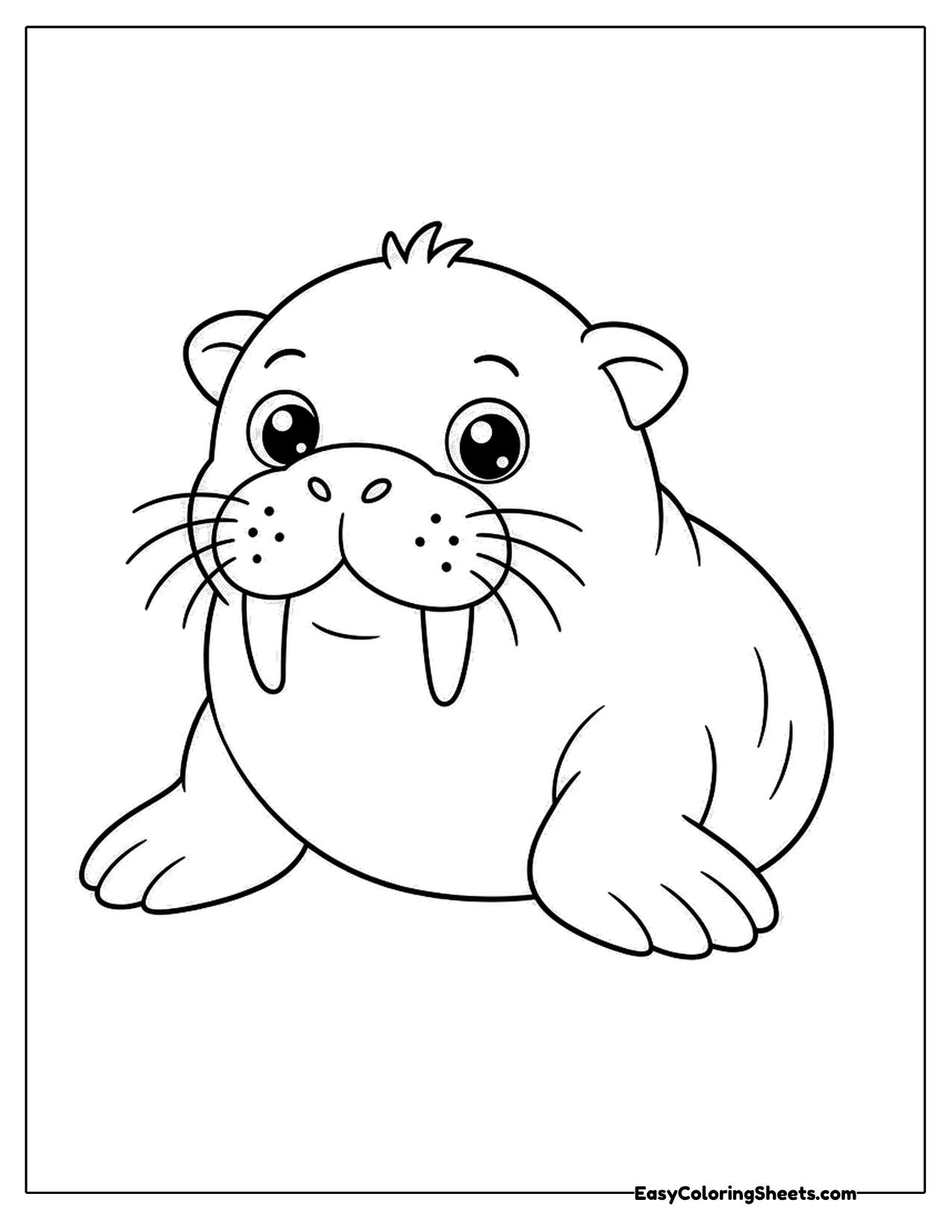 Baby walrus with whiskers and small tusks