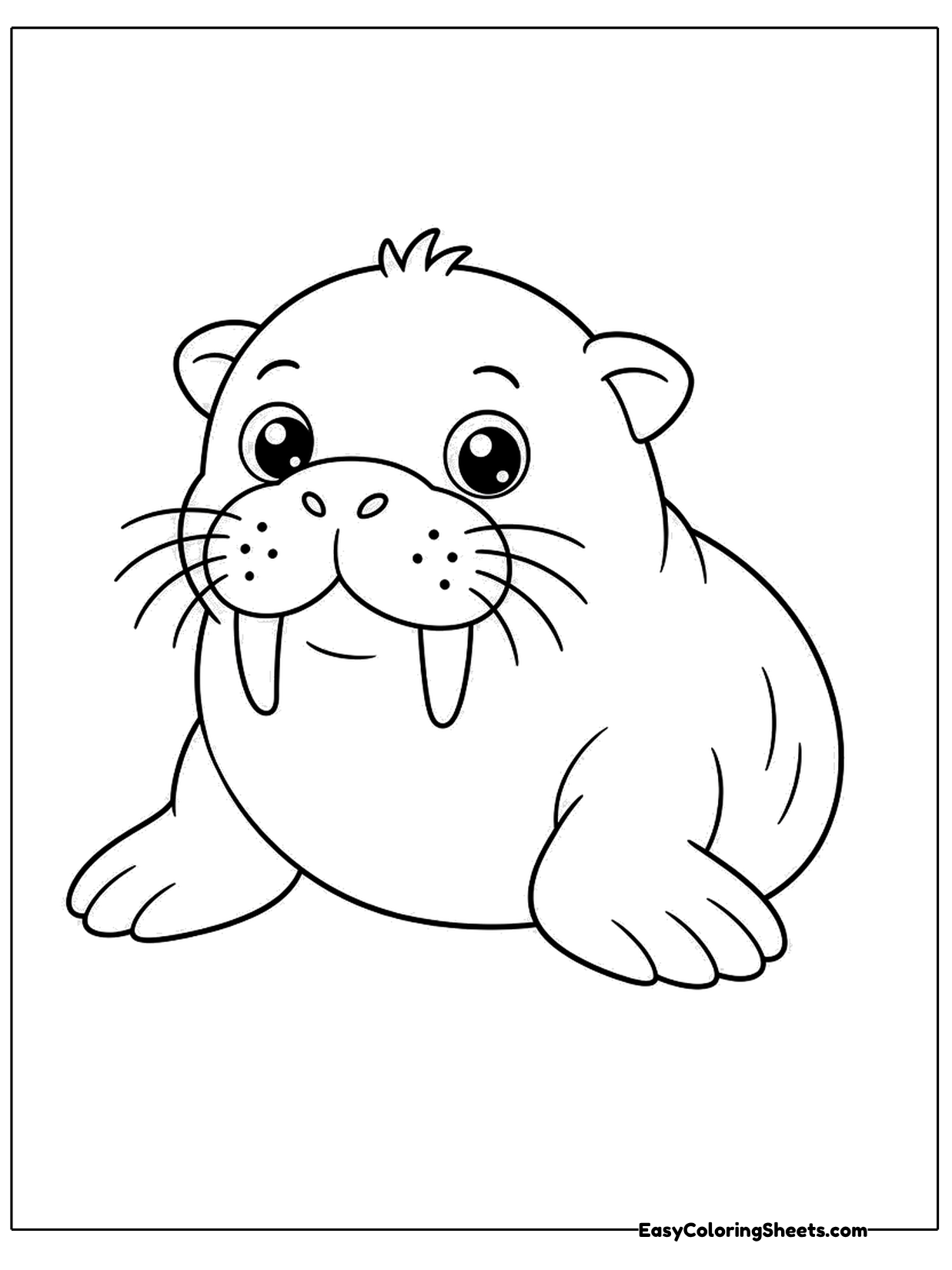 A chubby baby walrus rests on its belly with front flippers planted, showing a whiskered snout and two short tusks.