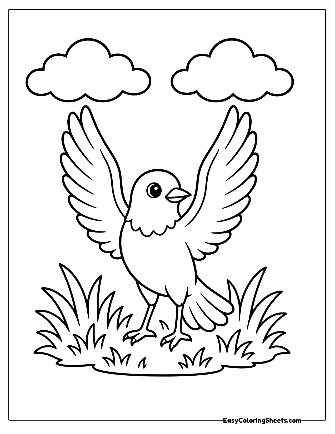Bird spreading its wings wide on the grass
