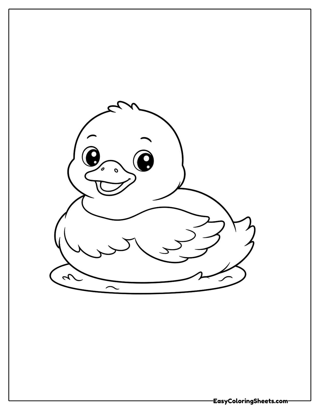Duck floating on a pond