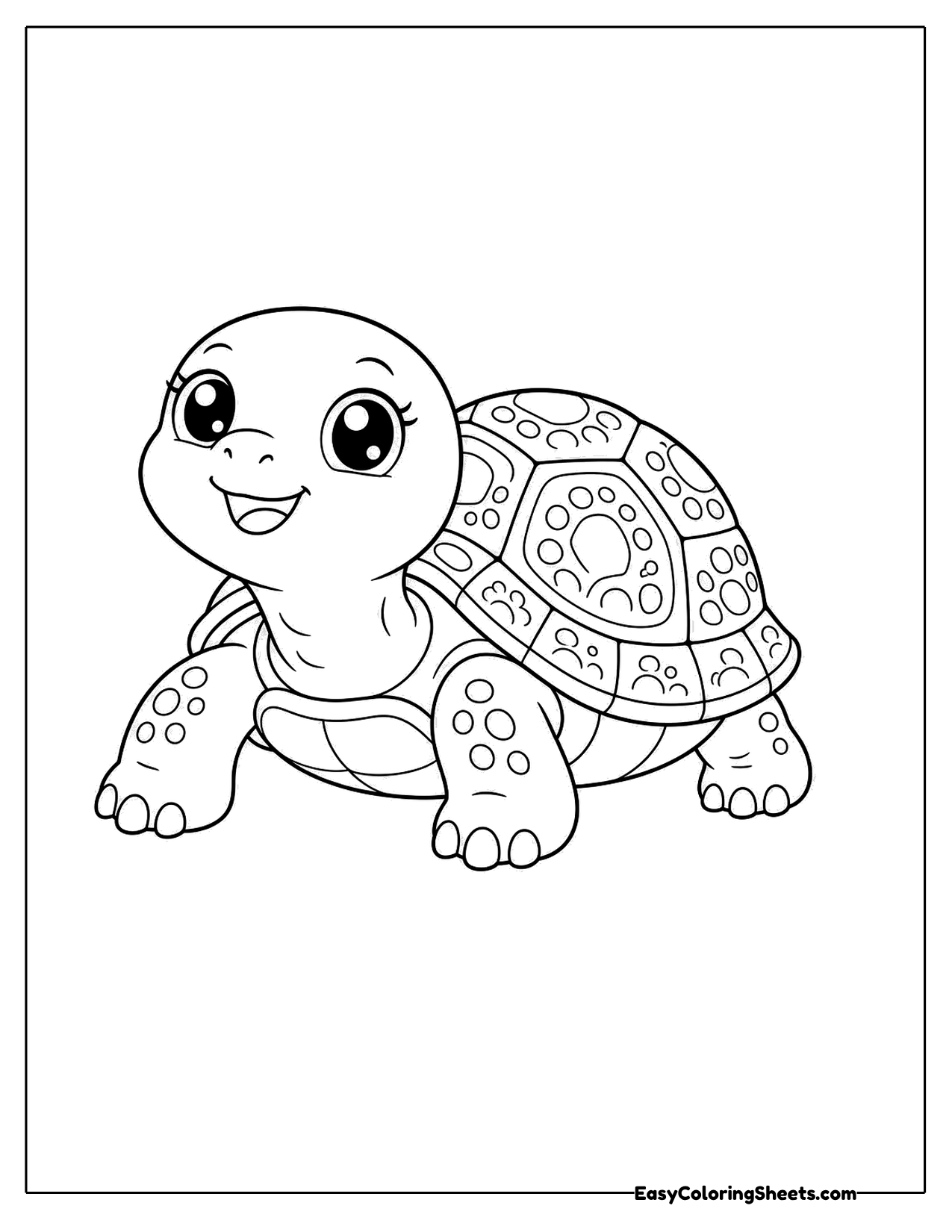 Turtle looking up with big eyes