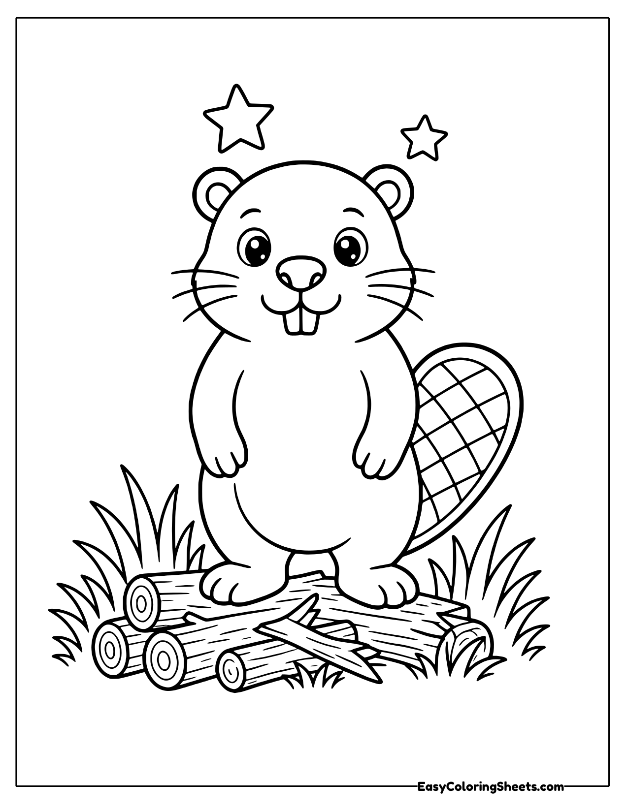 Beaver standing on logs facing forward with stars