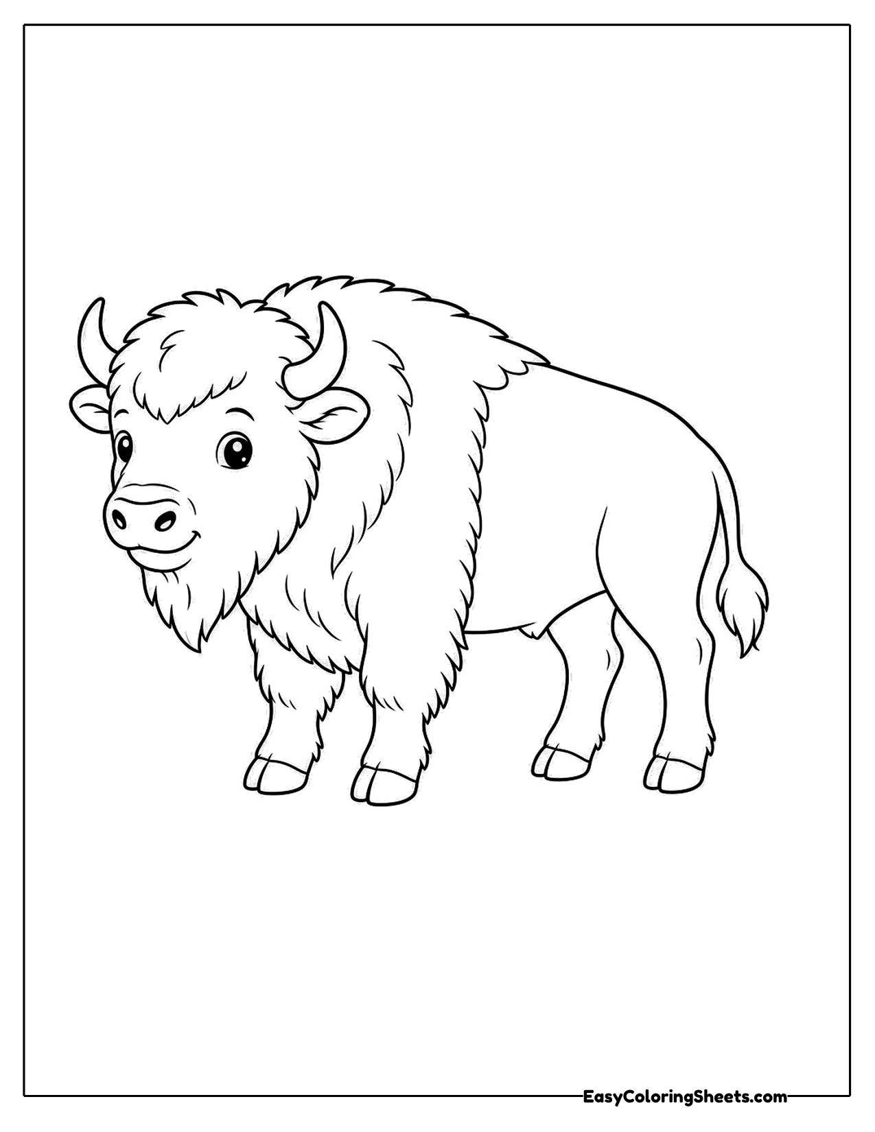 Cute bison with a friendly face