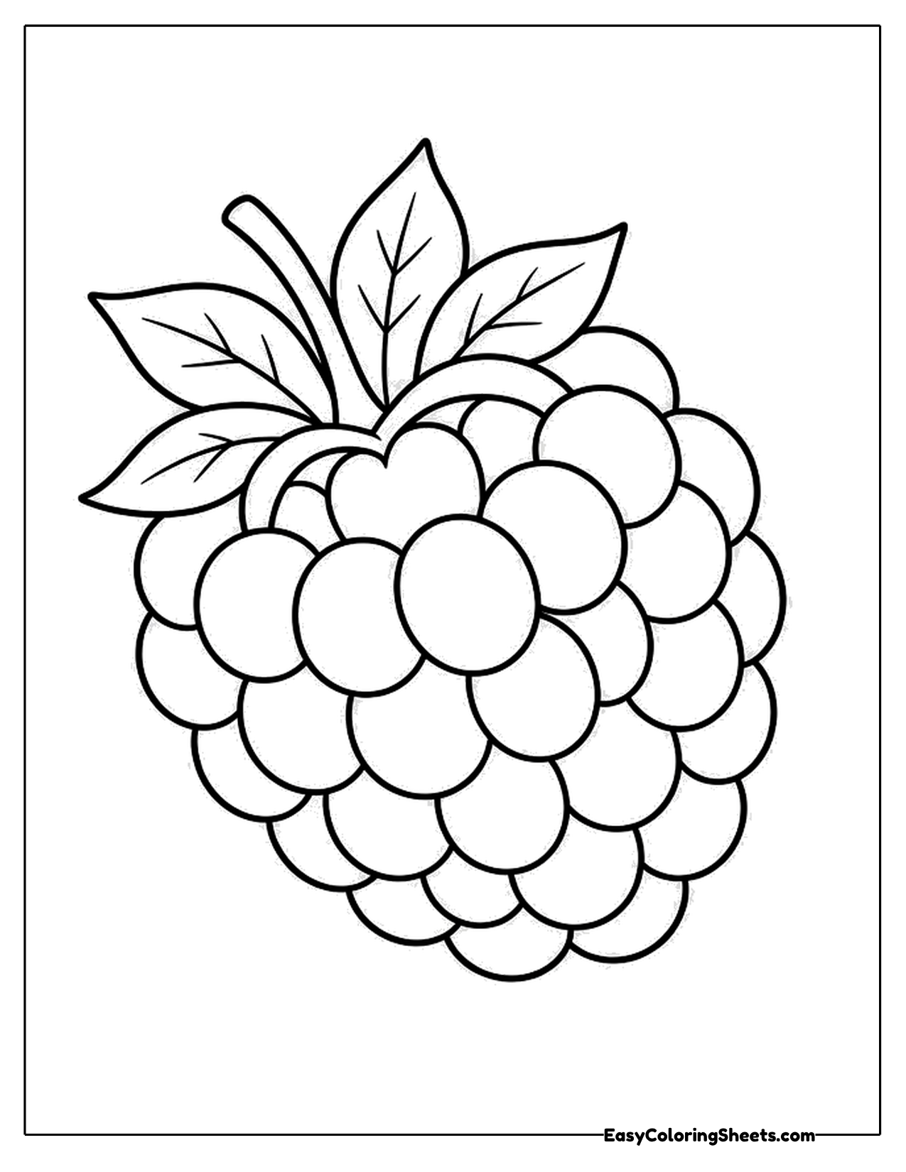 Big raspberry with leaves on top