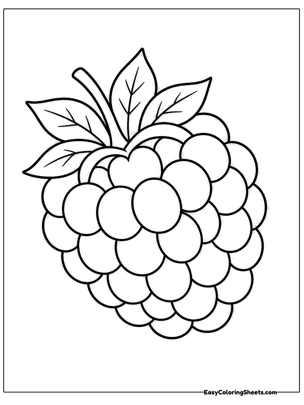 A big raspberry made of round bumpy sections fills the page, crowned with a cluster of pointed leaves.