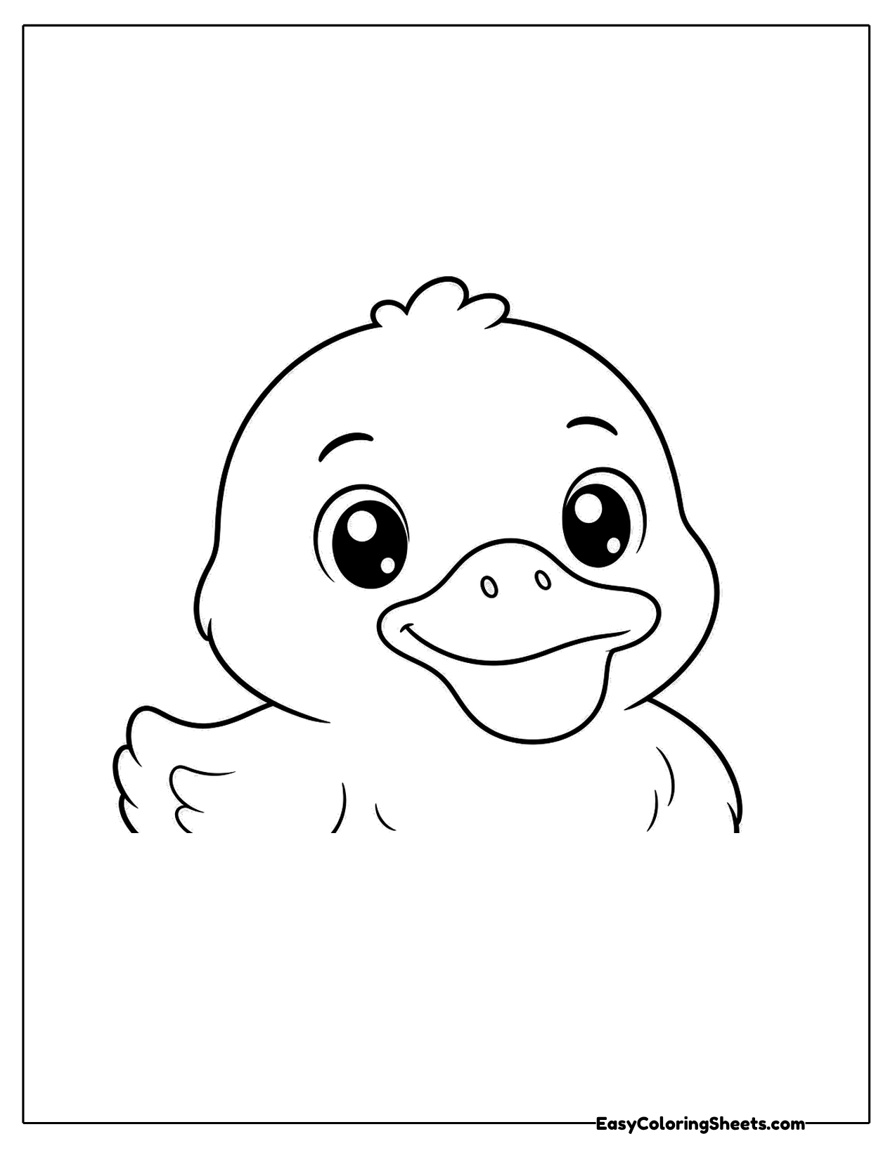 Close up of a smiling duck face
