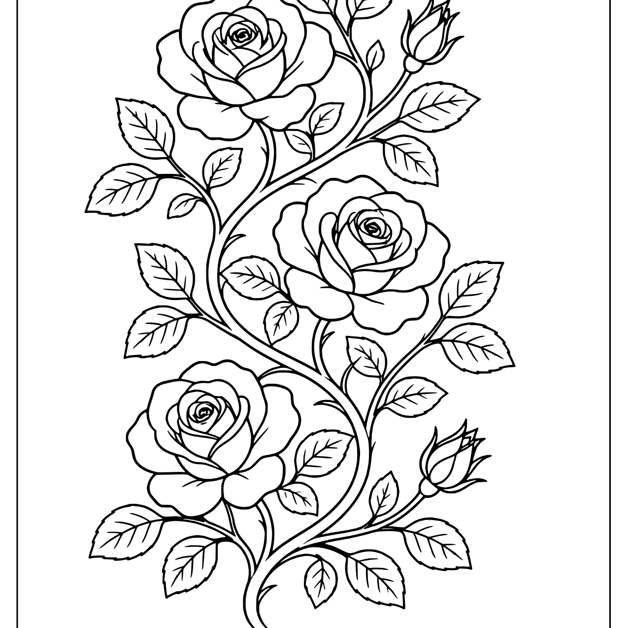 Climbing rose vine with many blooms