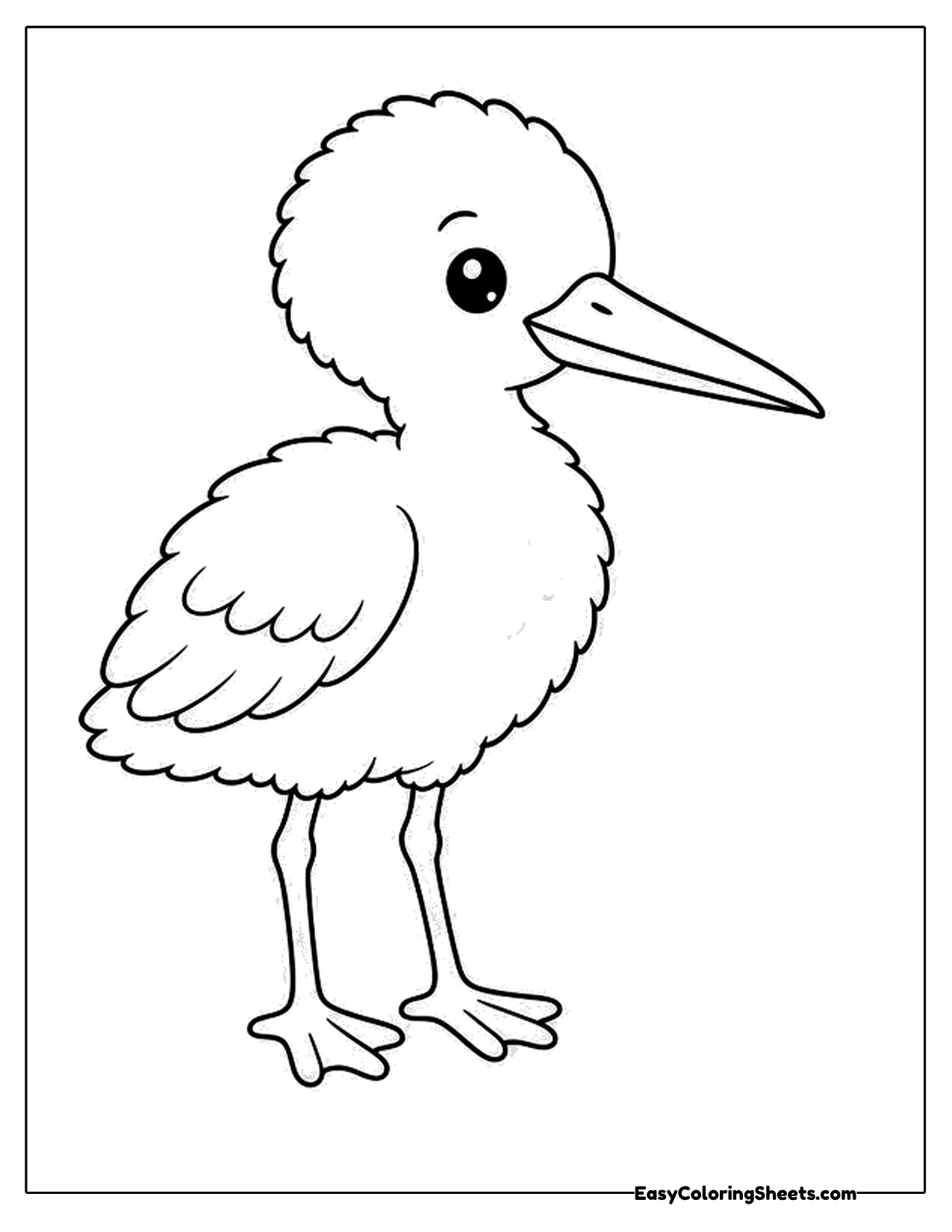 Fluffy baby stork standing on long thin legs
