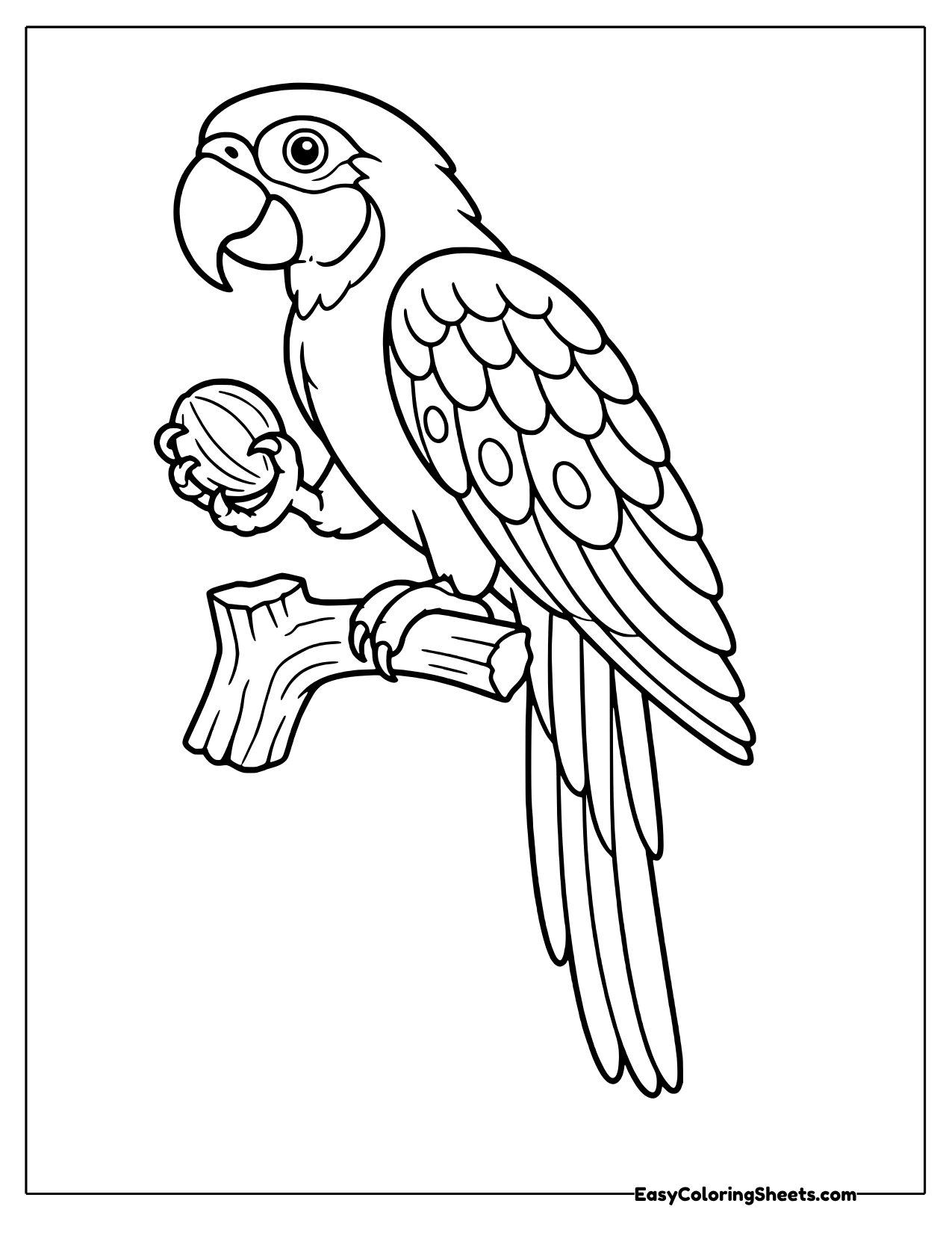 Macaw holding a nut in its claw