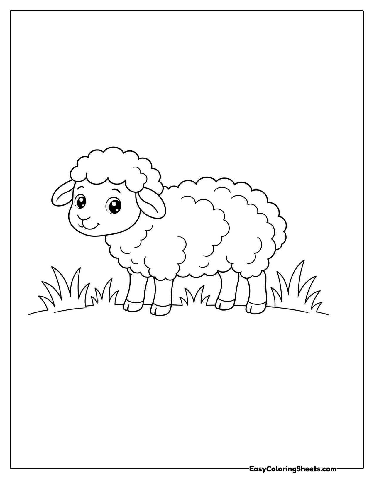 Sheep standing in tufts of grass