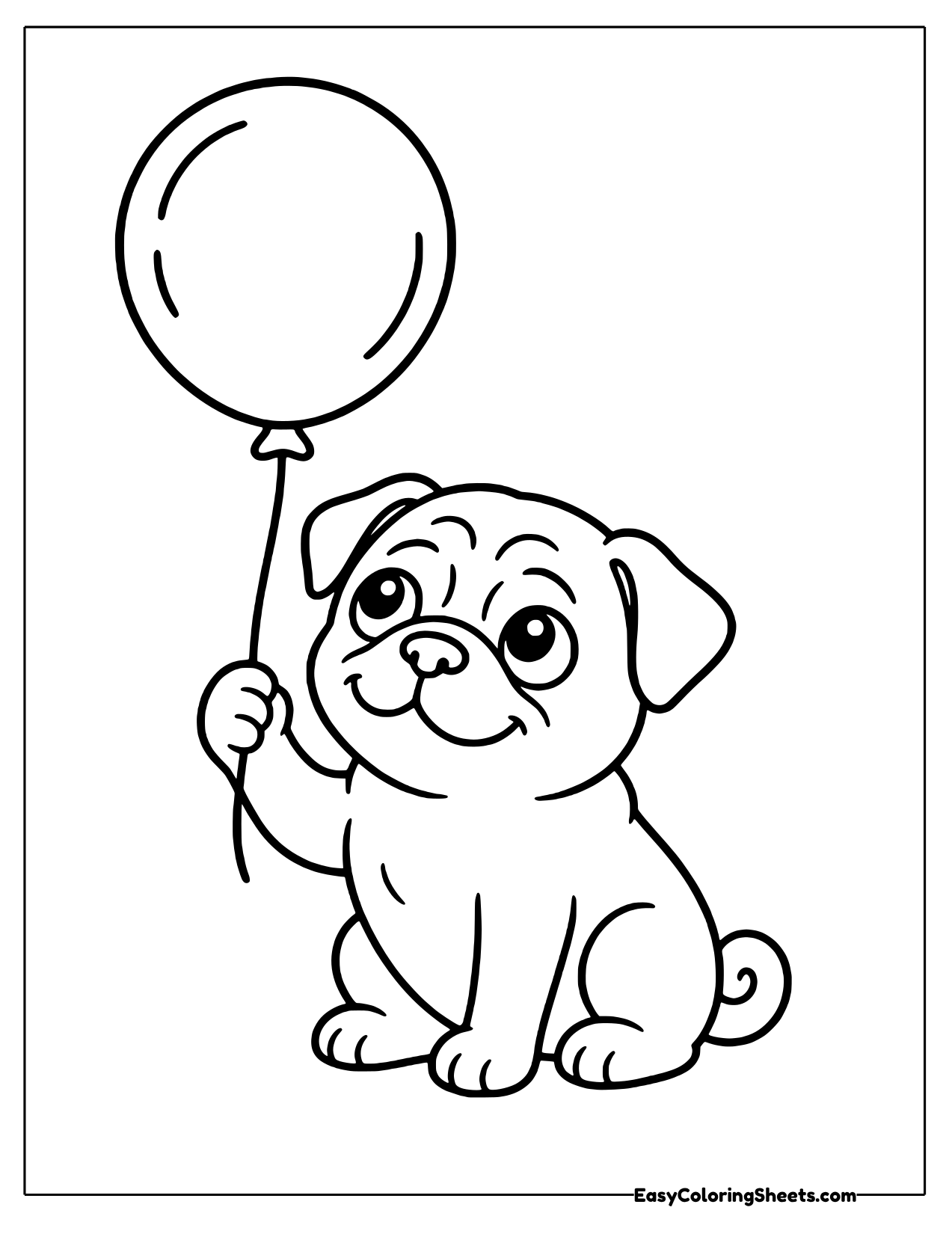 Sweet little pug sitting and holding a big round balloon