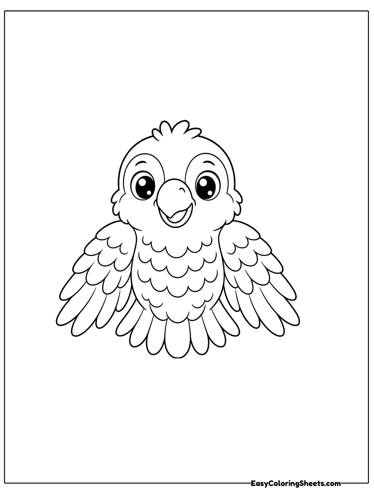 A round parrot faces the viewer with both wings spread low at its sides and a friendly hooked beak.