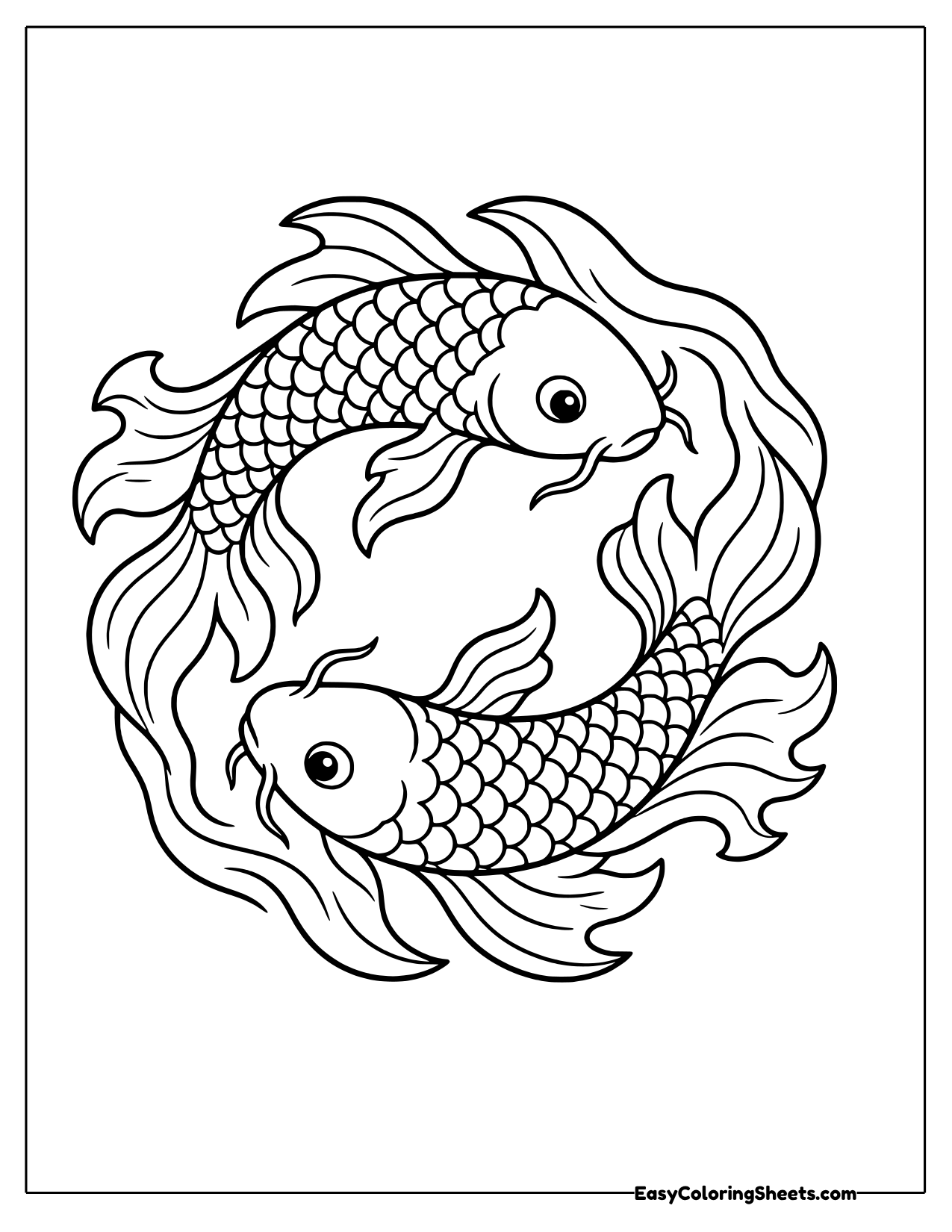 Two koi fish swimming in a circle