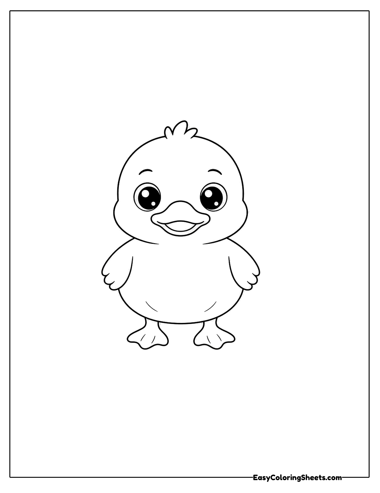 Duckling facing forward