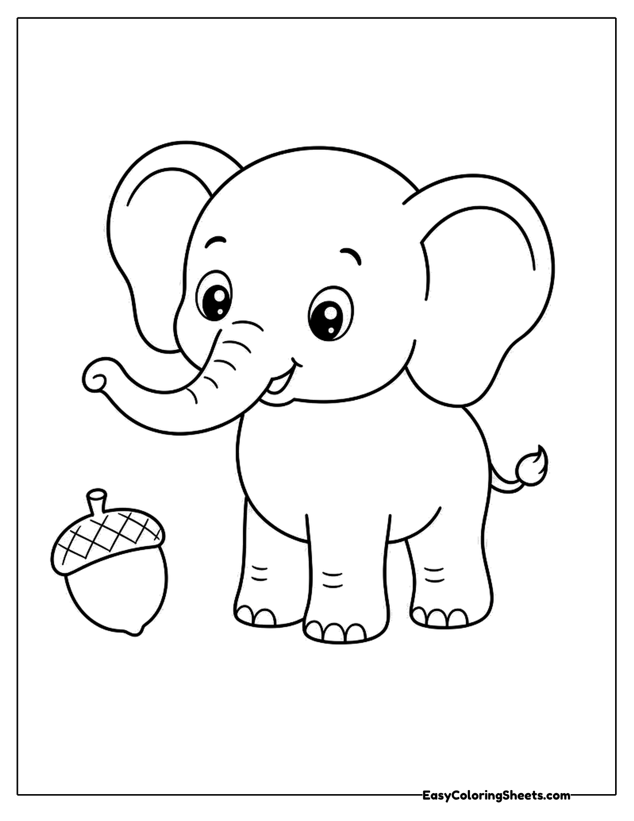 Elephant looking at an acorn