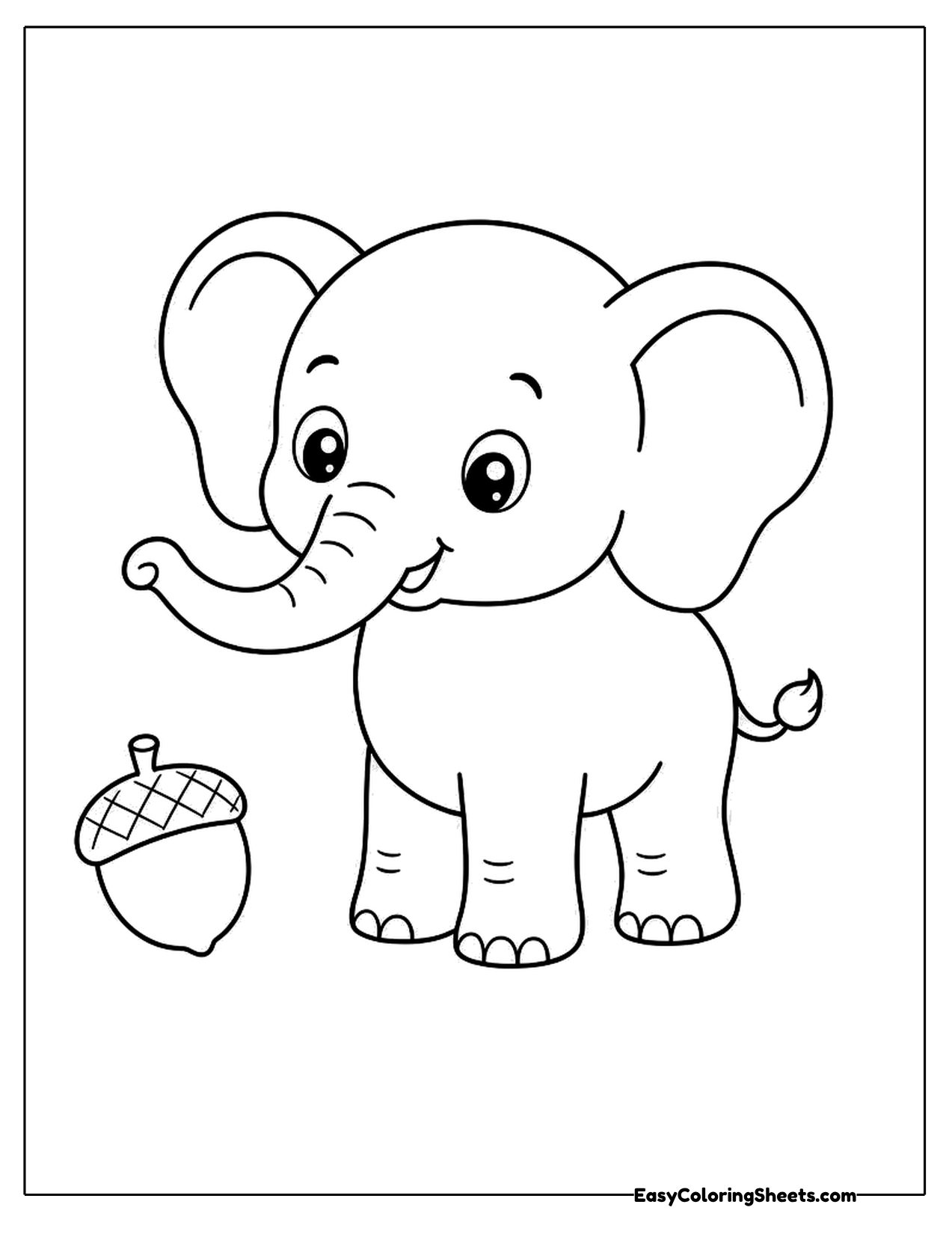Elephant looking at an acorn