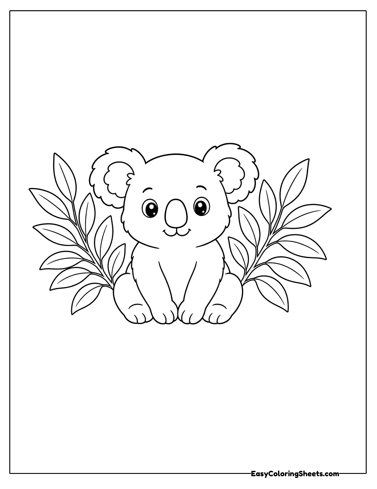 Koala sitting between eucalyptus leaves
