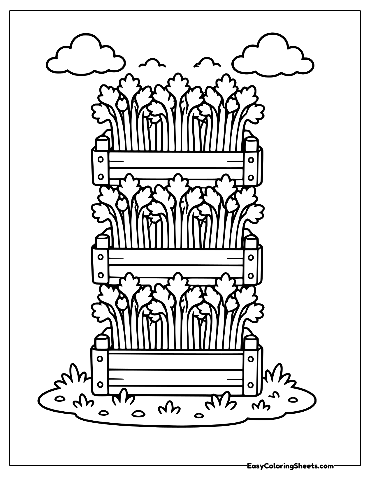 Celery growing in a tower of wooden crates