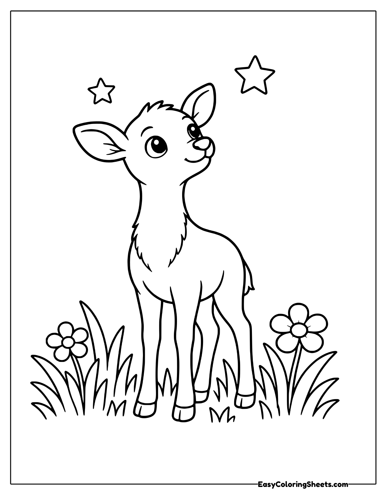 Doe looking up at the stars