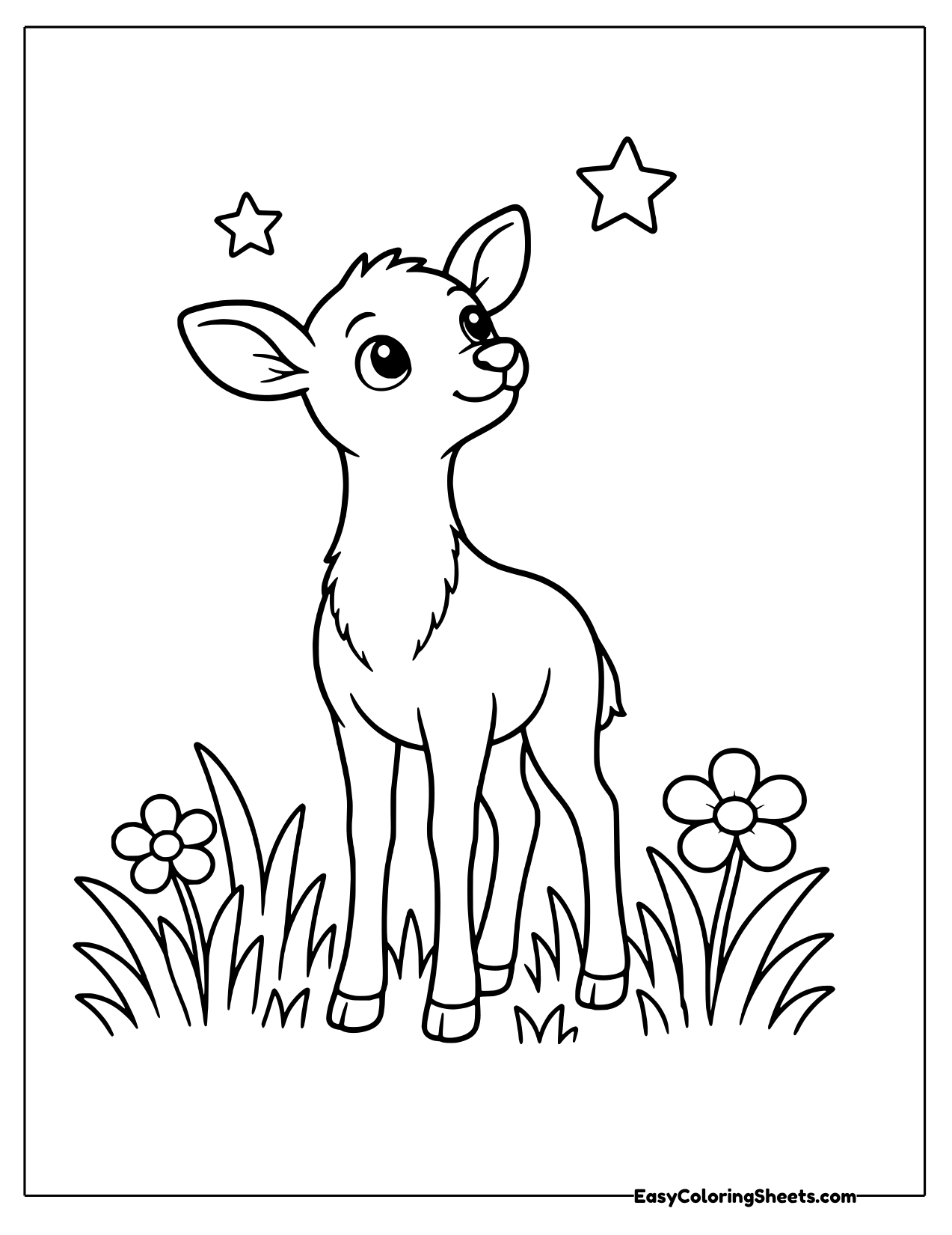 Doe looking up at the stars