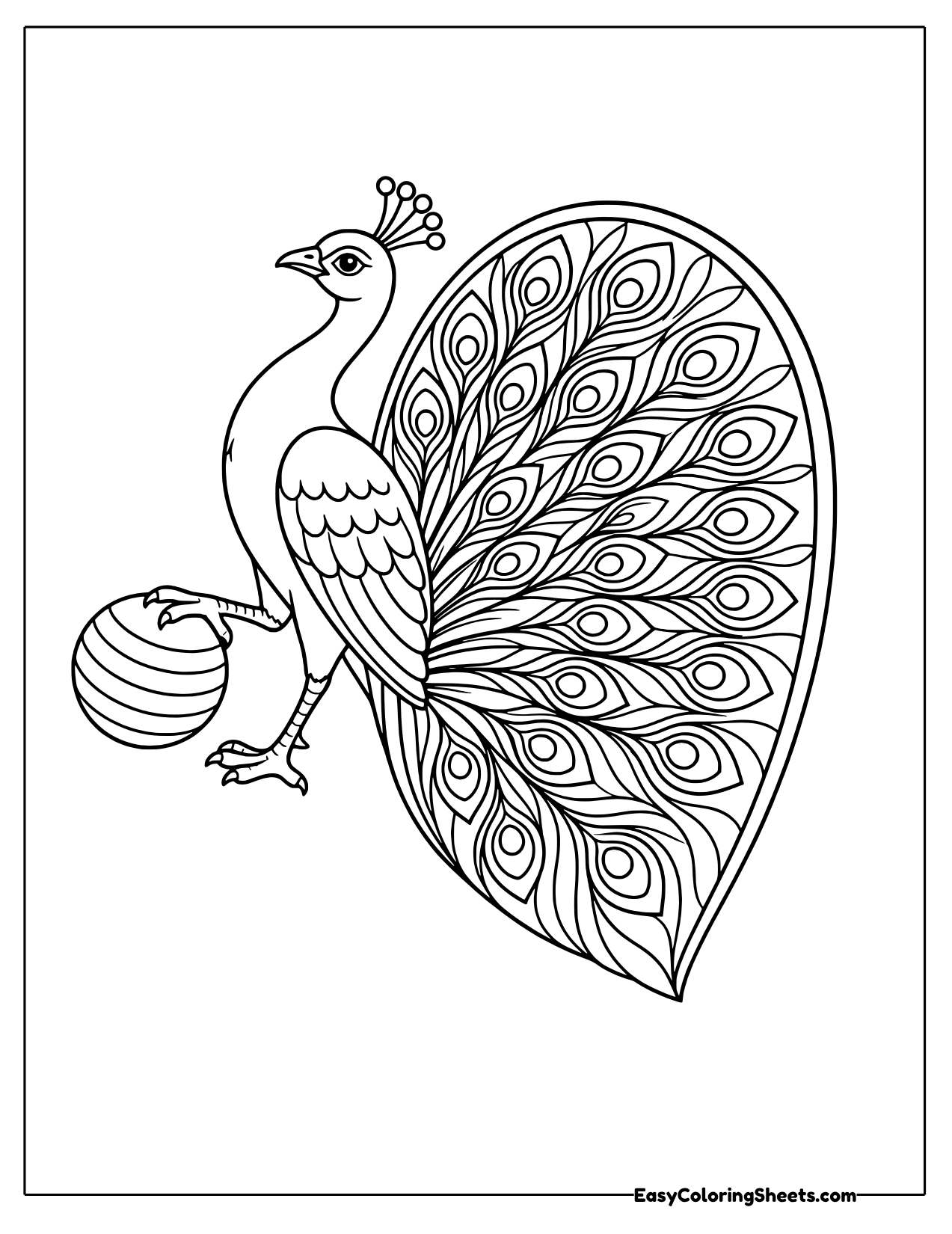 Peacock with a fanned eye feather tail resting a foot on a striped ball
