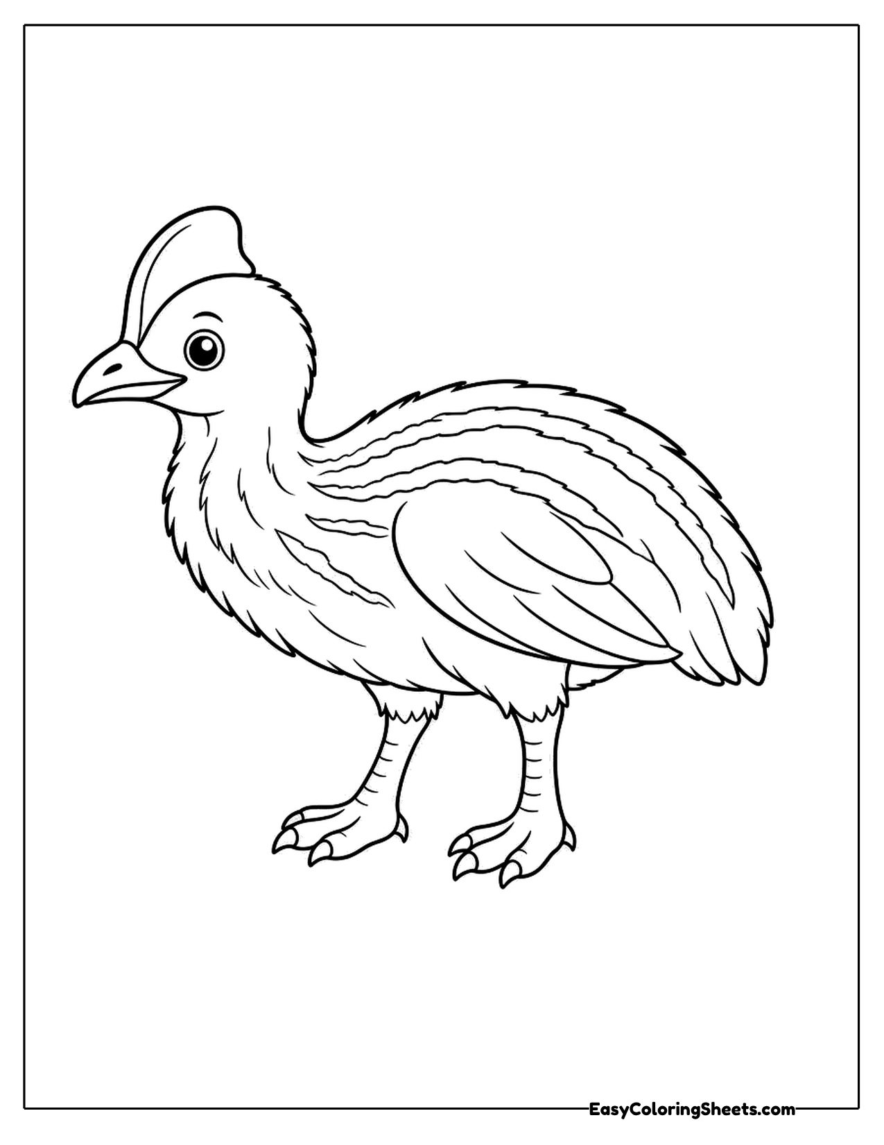 Young cassowary walking on its long legs