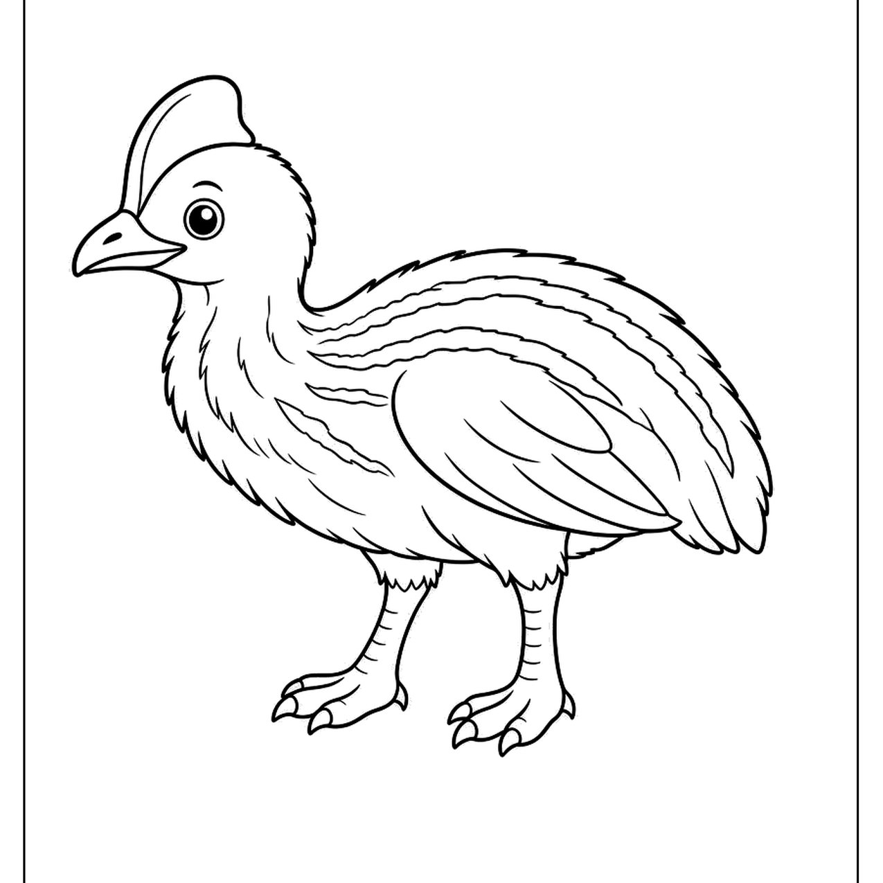 Young cassowary walking on its long legs
