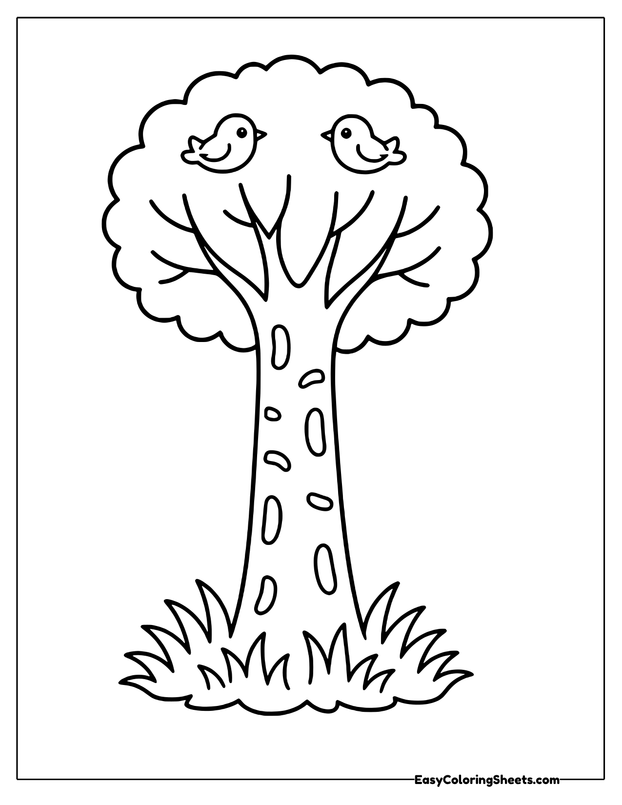 Tall tree with birds and a round canopy
