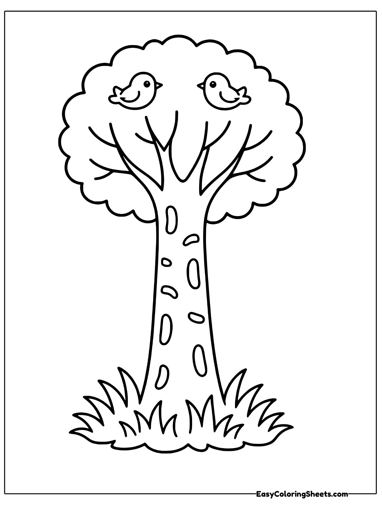 A tree with a tall textured trunk and a round leafy crown has two birds perched on its top.