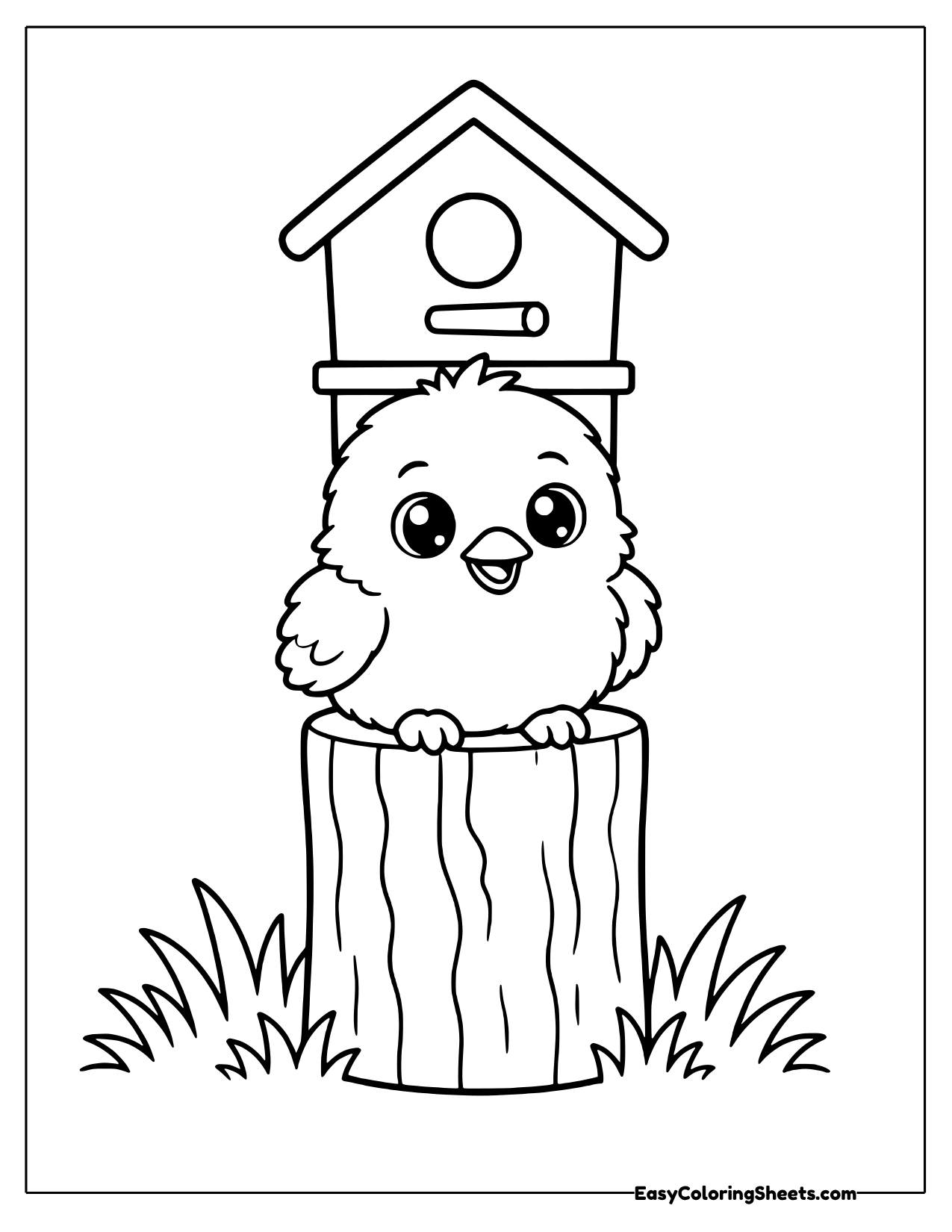 Chick perched on a fence post under a birdhouse