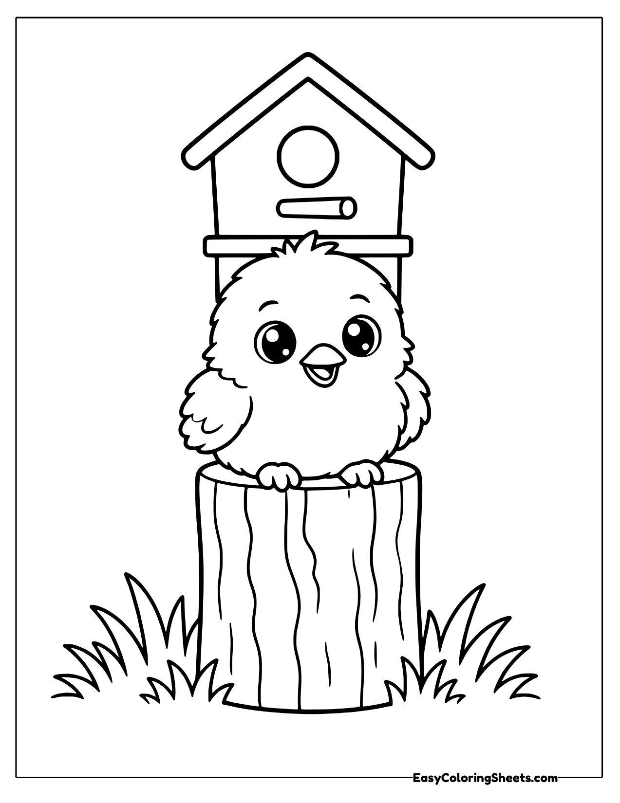 Chick perched on a fence post under a birdhouse