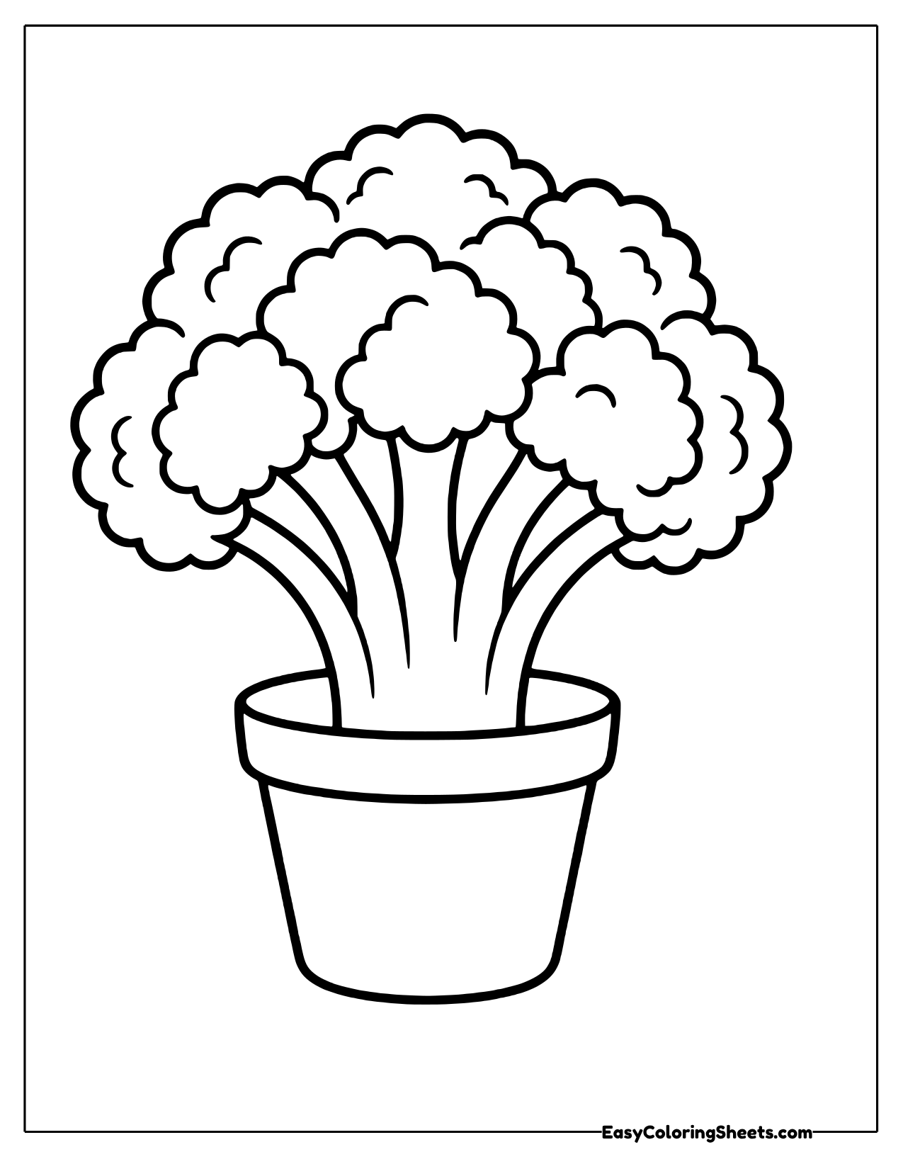 Broccoli growing in a flower pot