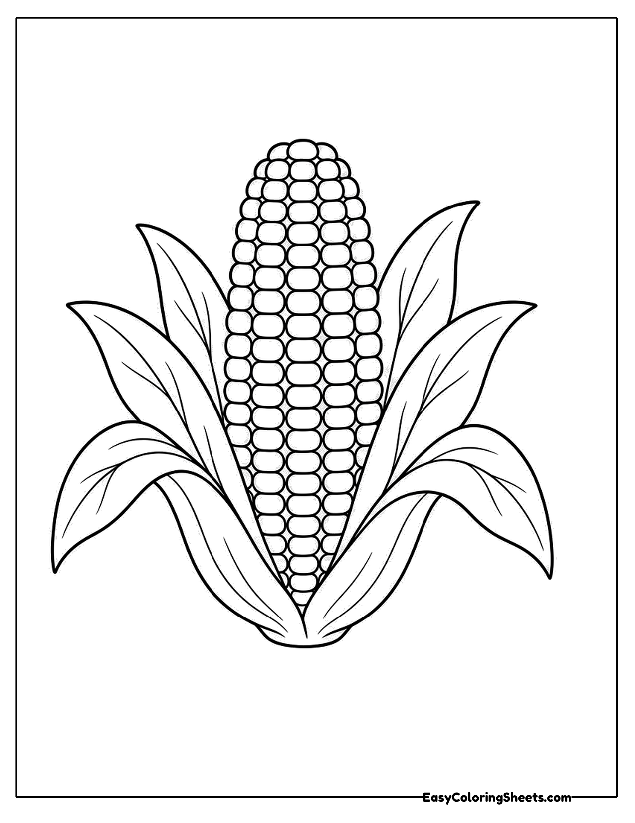 Ear of corn with spreading husk leaves