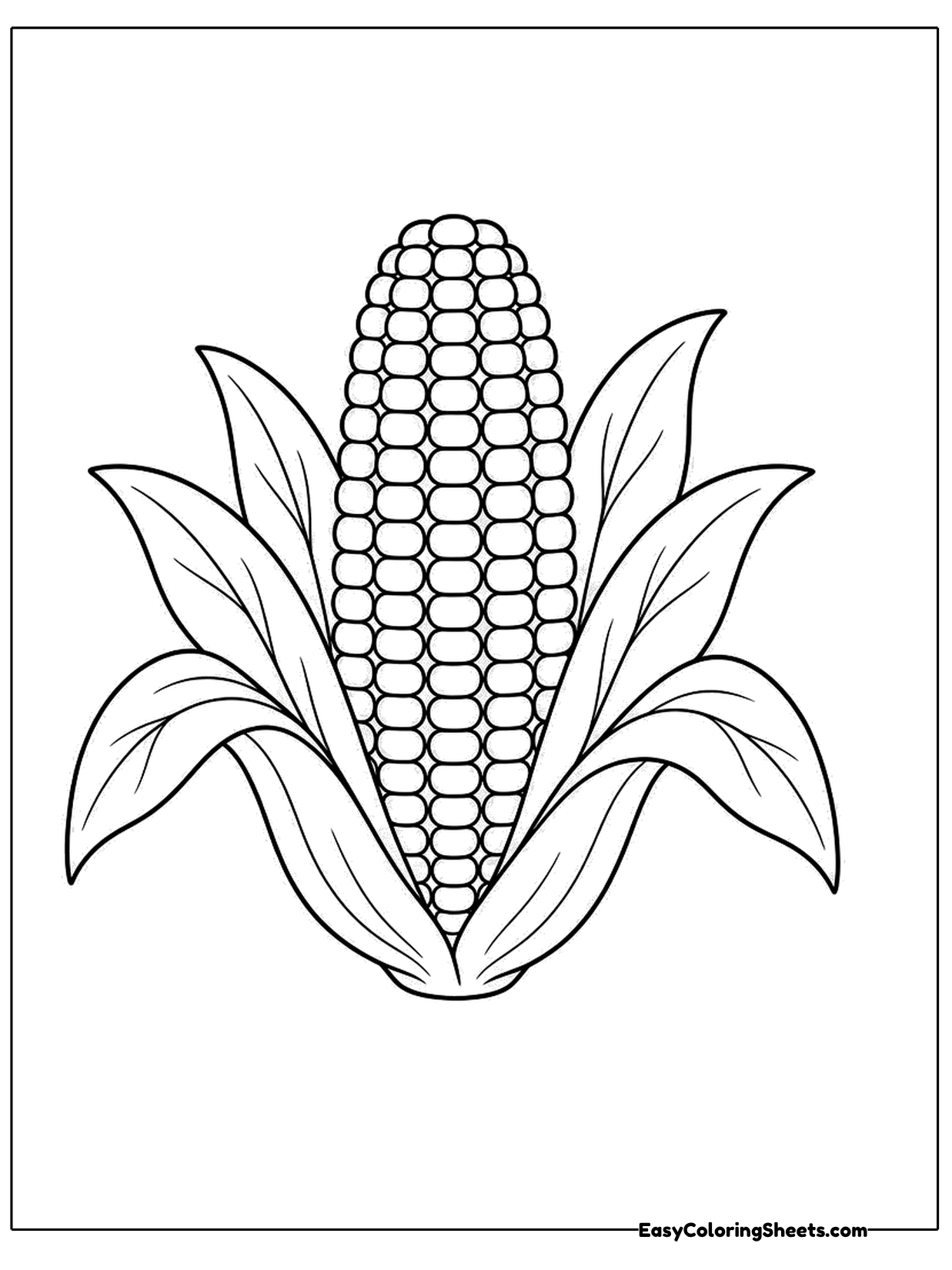 A tall ear of corn with tidy rows of kernels stands inside a fan of long husk leaves.