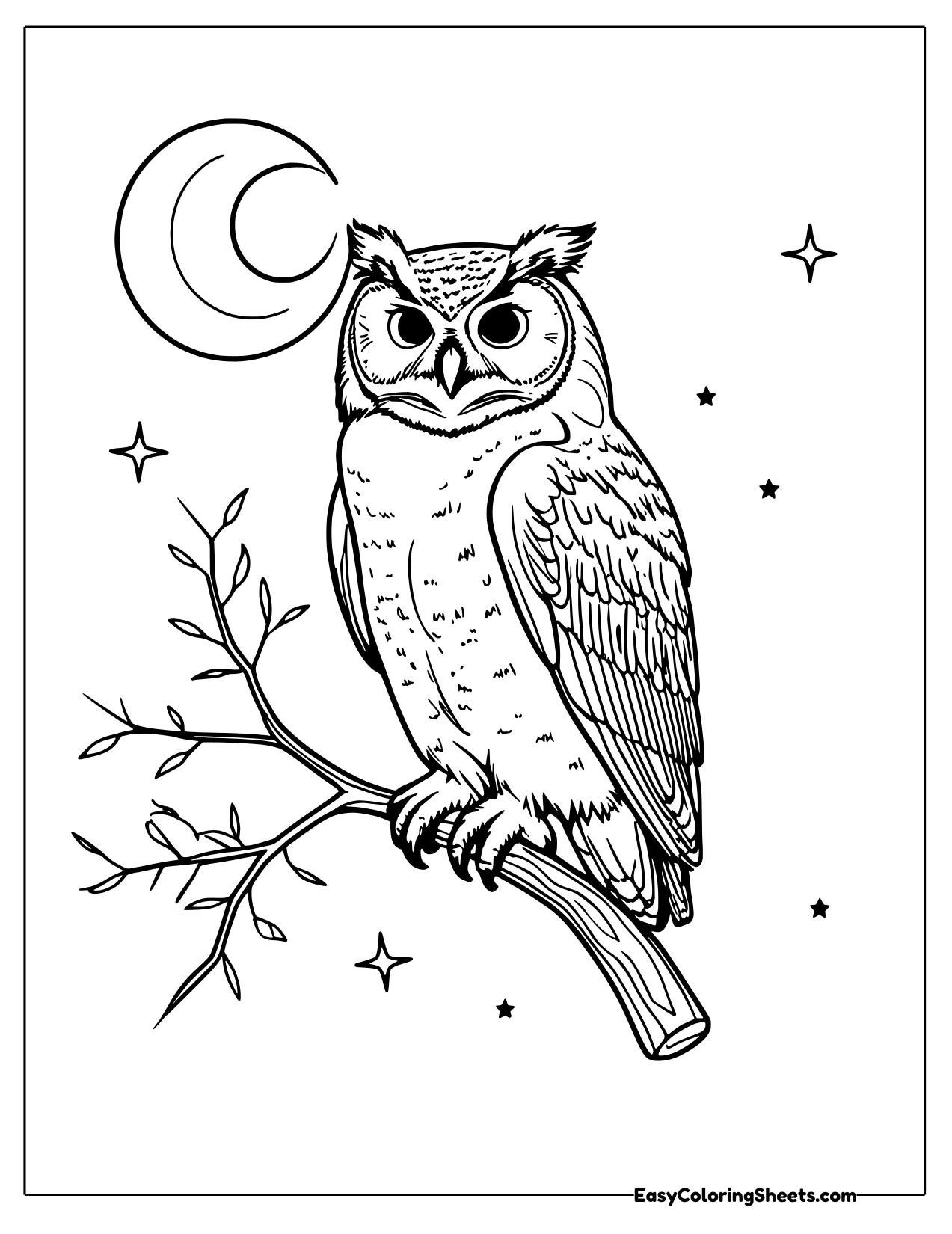 Owl perched on a branch under a crescent moon and stars