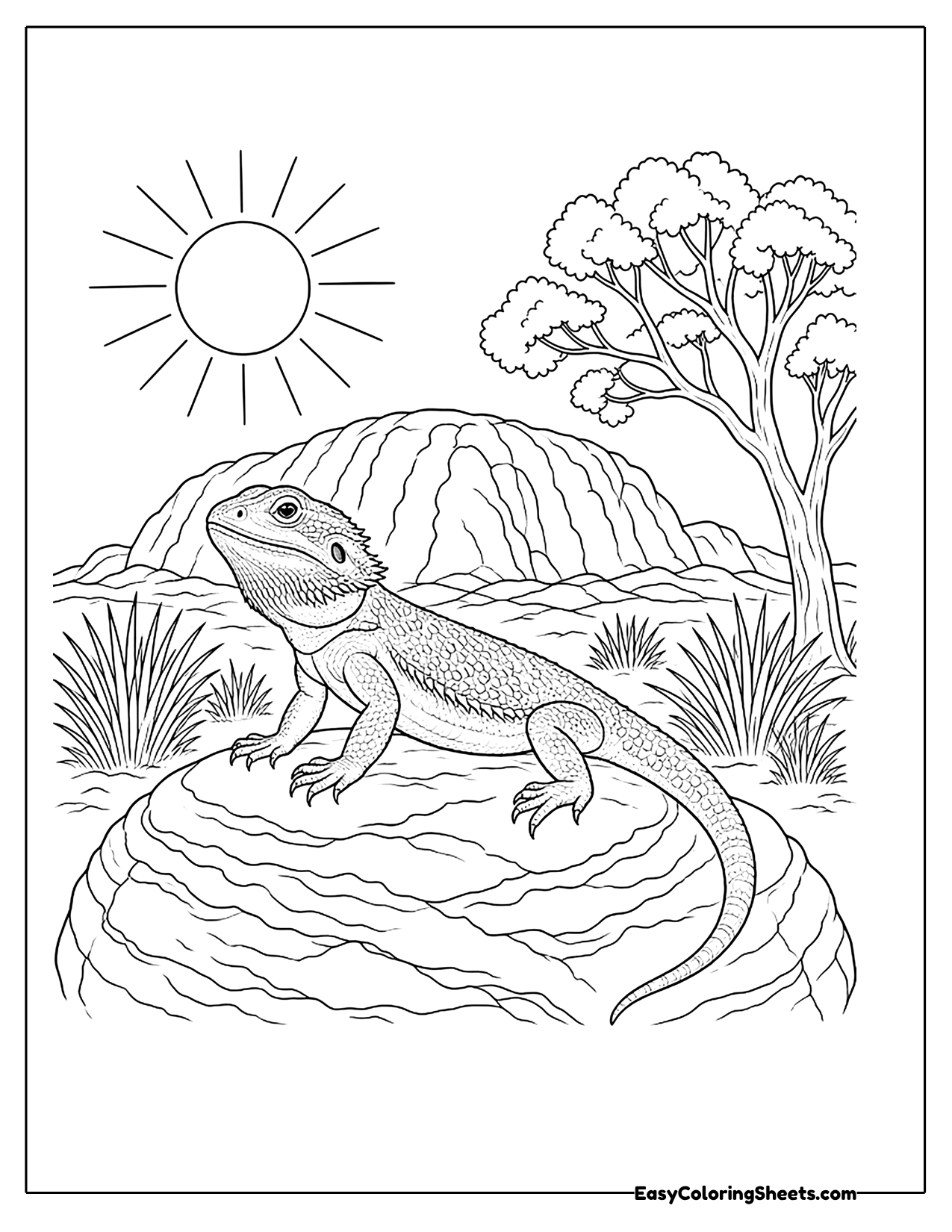 Bearded dragon on a rock in the Australian outback