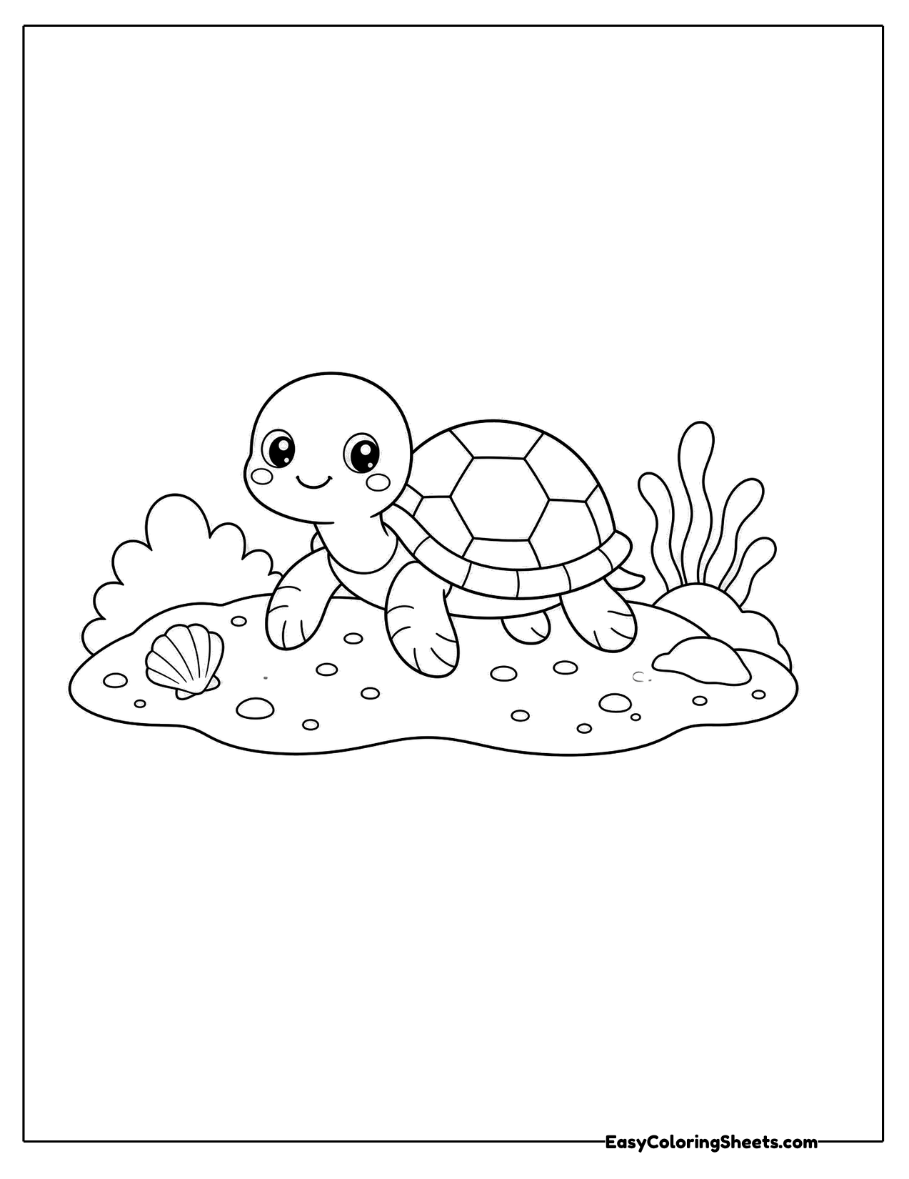 Turtle on a sandy beach