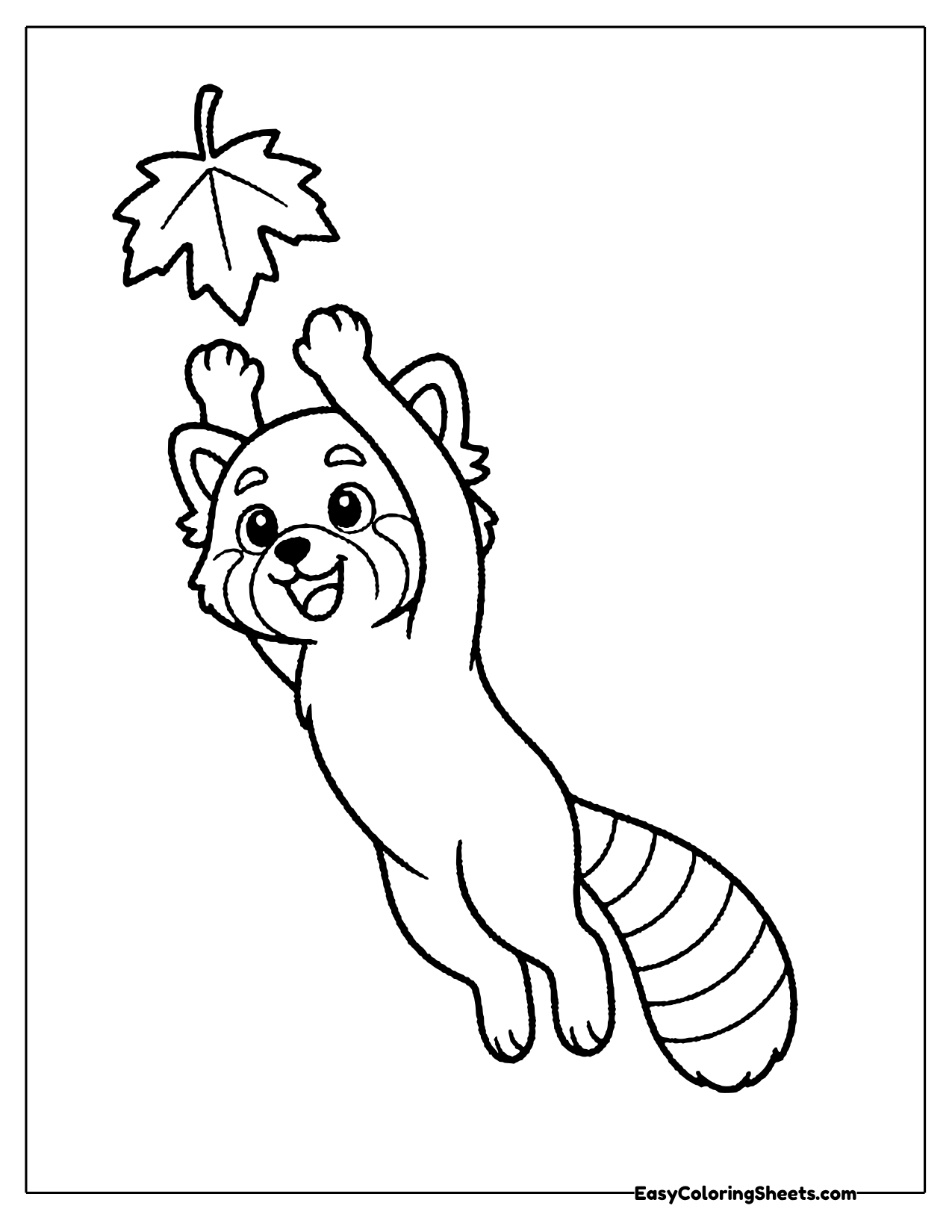 Red panda jumping up to catch a falling maple leaf