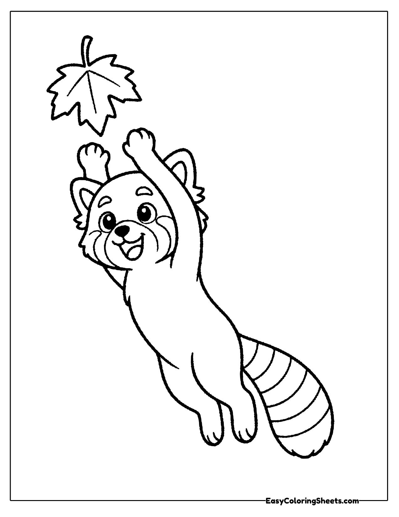 Red panda jumping up to catch a falling maple leaf