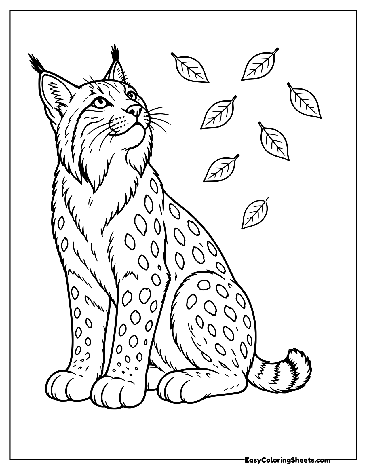 Sitting lynx watching falling autumn leaves