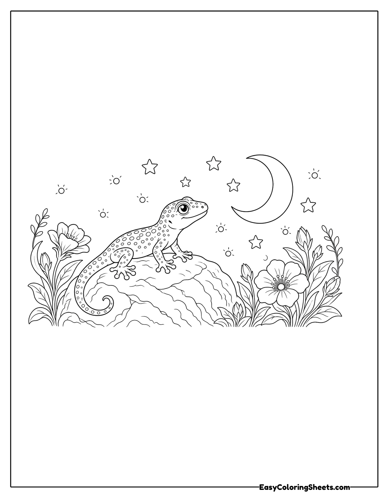 Gecko on a rock under a crescent moon and stars