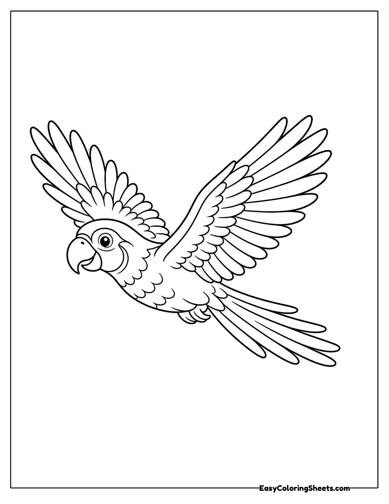 Macaw flying with wings outstretched