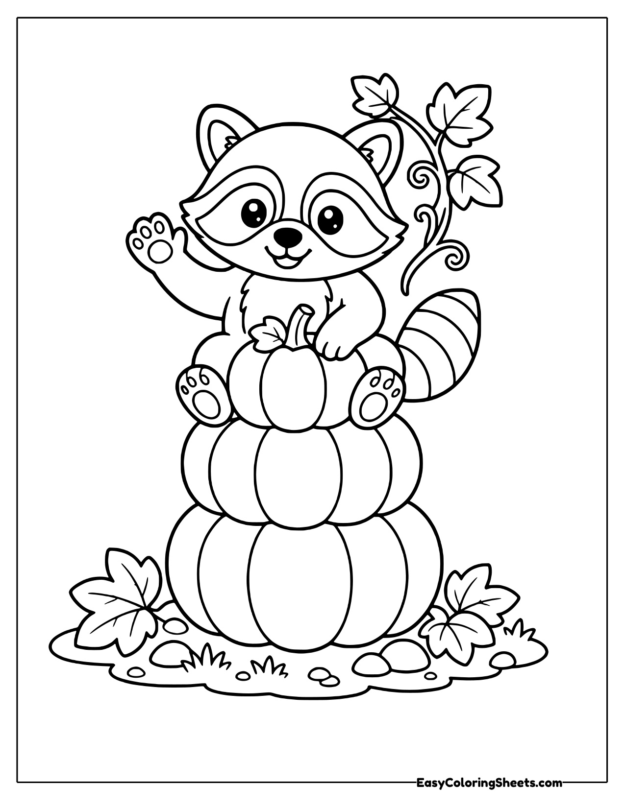 Raccoon on a pumpkin stack