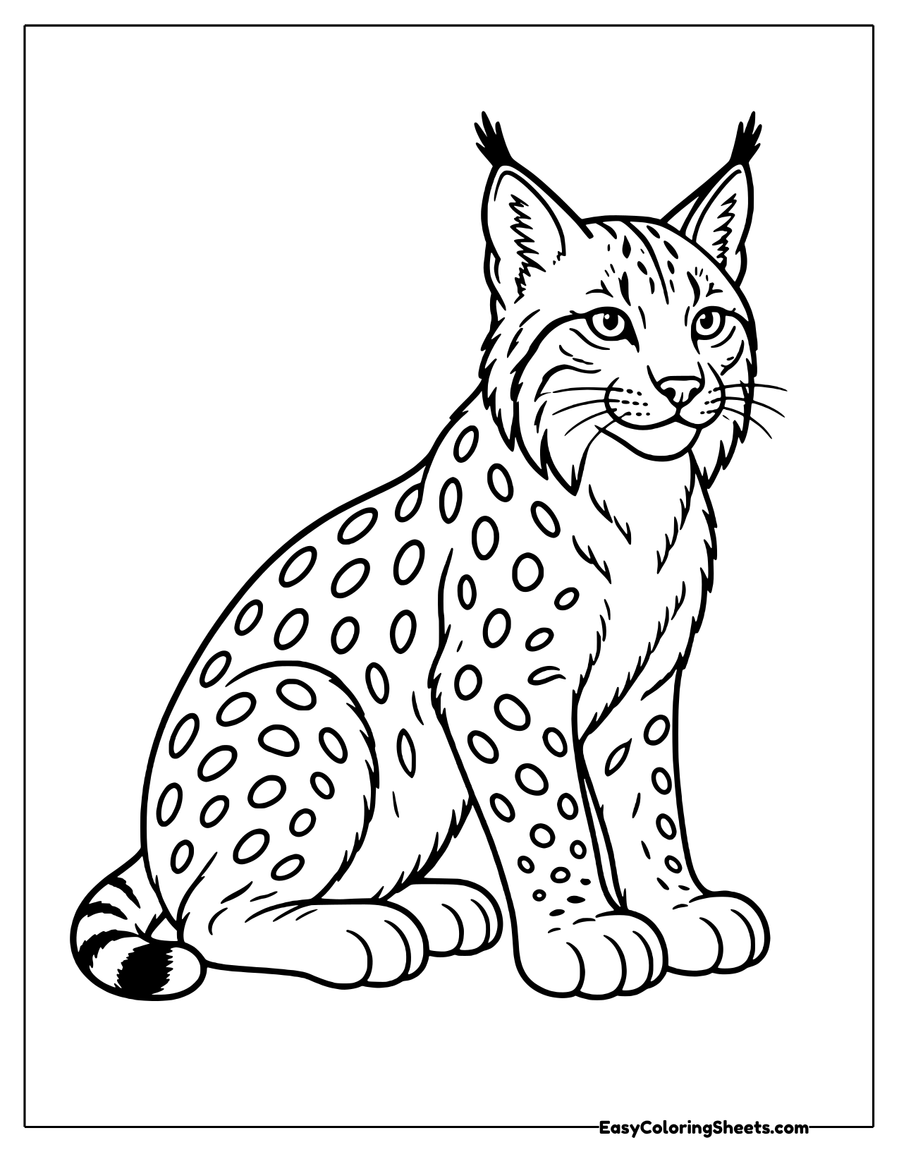 Lynx sitting in side profile with spotted coat